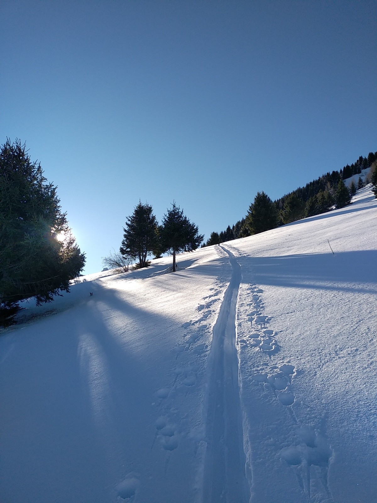 Heureusement la trace été déjà faite 