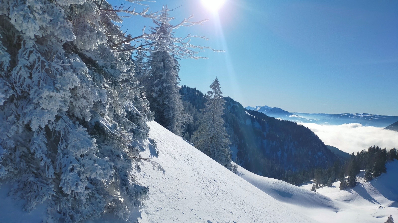 #8 La Chartreuse comme on l La Chartreuse comme on l'aime