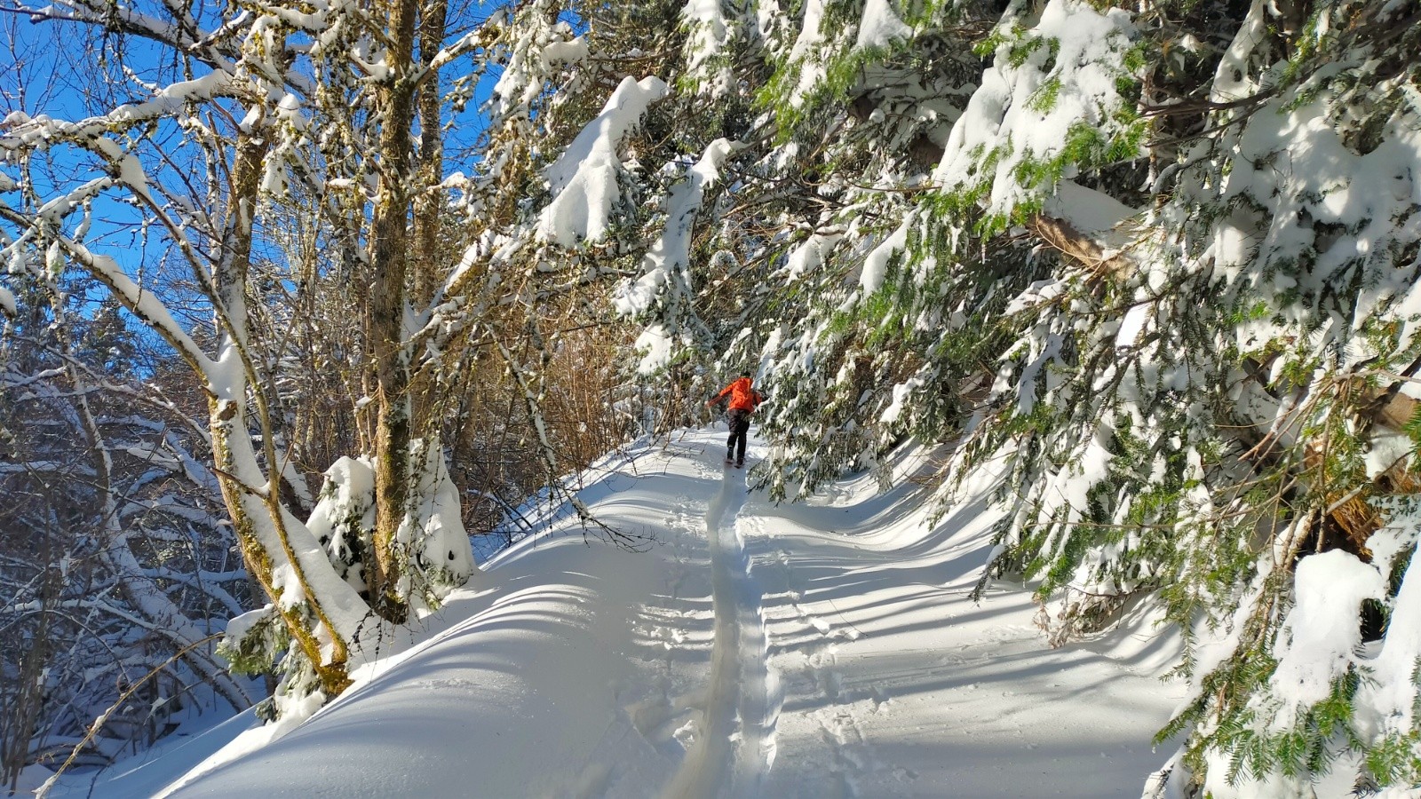 #2 Montée des Révols Montée des Révols