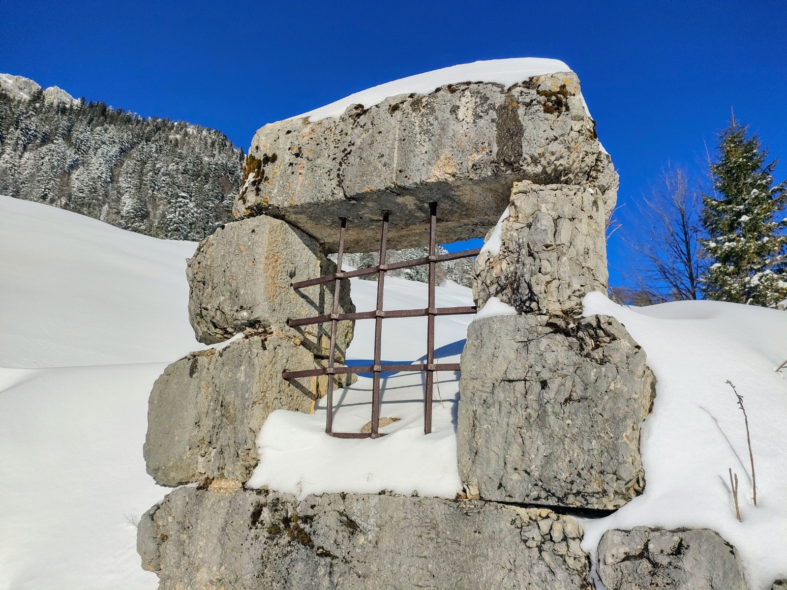 Le voici, c’est lui qui se tient derrière notre mur : il regarde aux fenêtres, guette par le treillage (extrait du cantique des cantiques) 