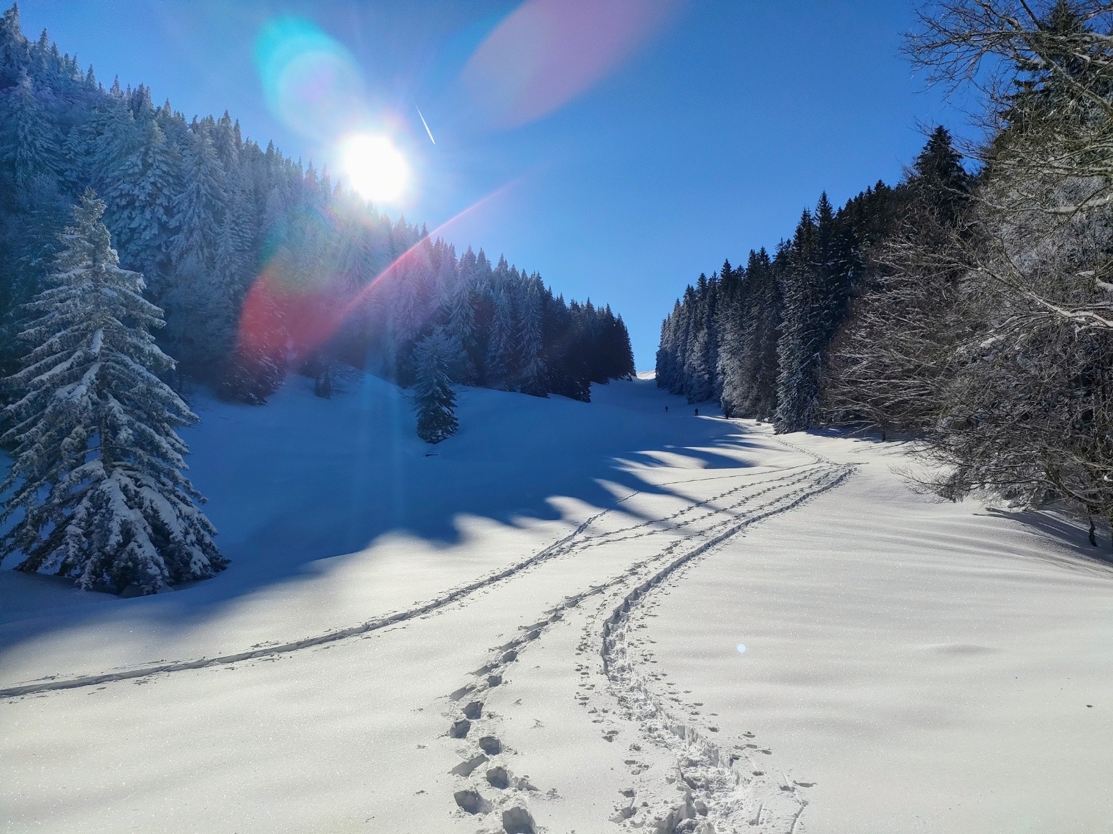 Avant le souffle du jour et la fuite des ombres, j’irai à la montagne de la myrrhe, à la colline de l’encens 