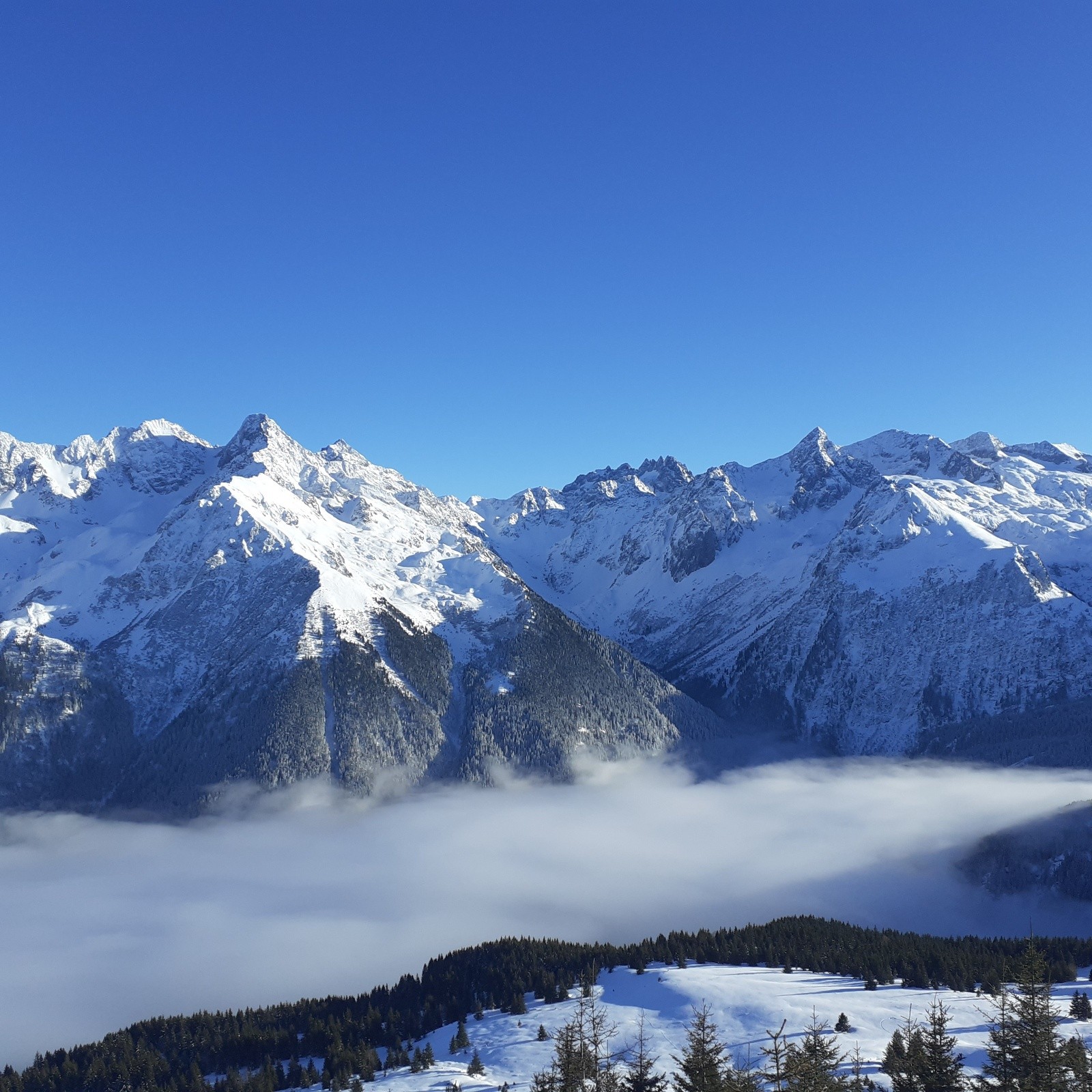 Combe Madame, Rocher Blanc et Aiguilles d'Argentière 