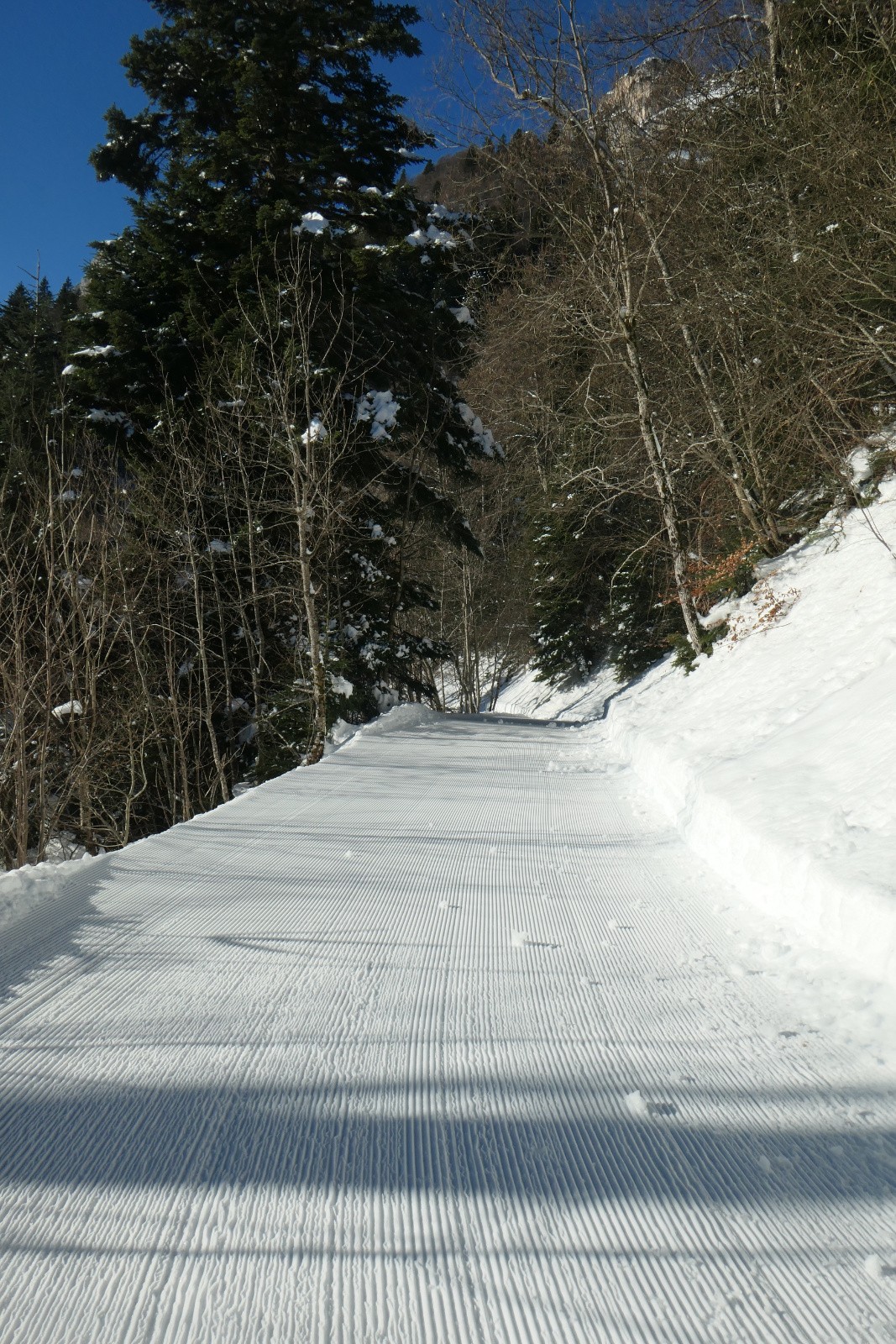 La piste damée 