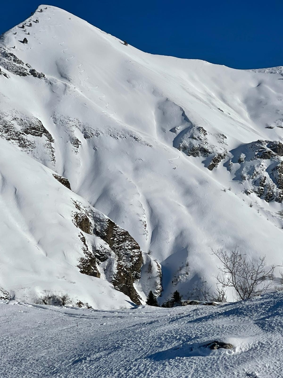 &nbsp;Merci pour la photo !&nbsp;