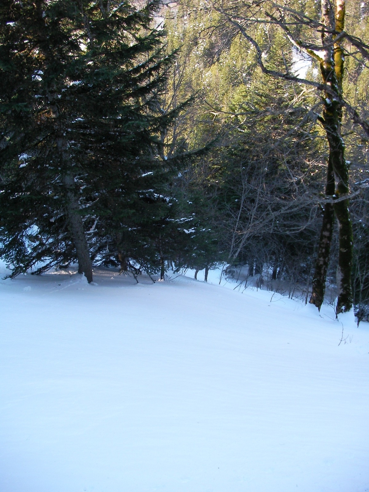 Miam. on m'a laissé ça. C'est gentil ;-)