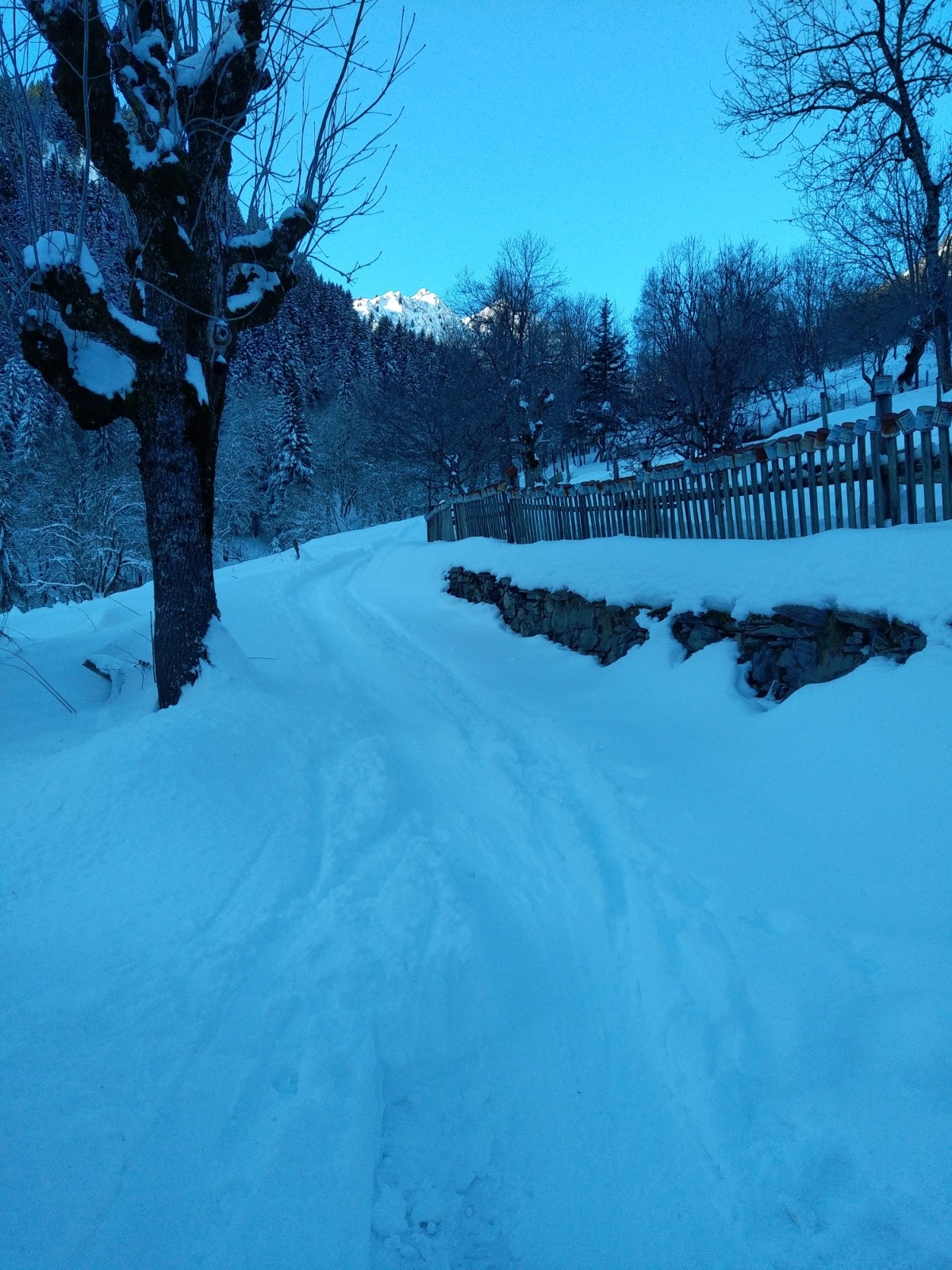 Entrée dans le vallon du Teppey 