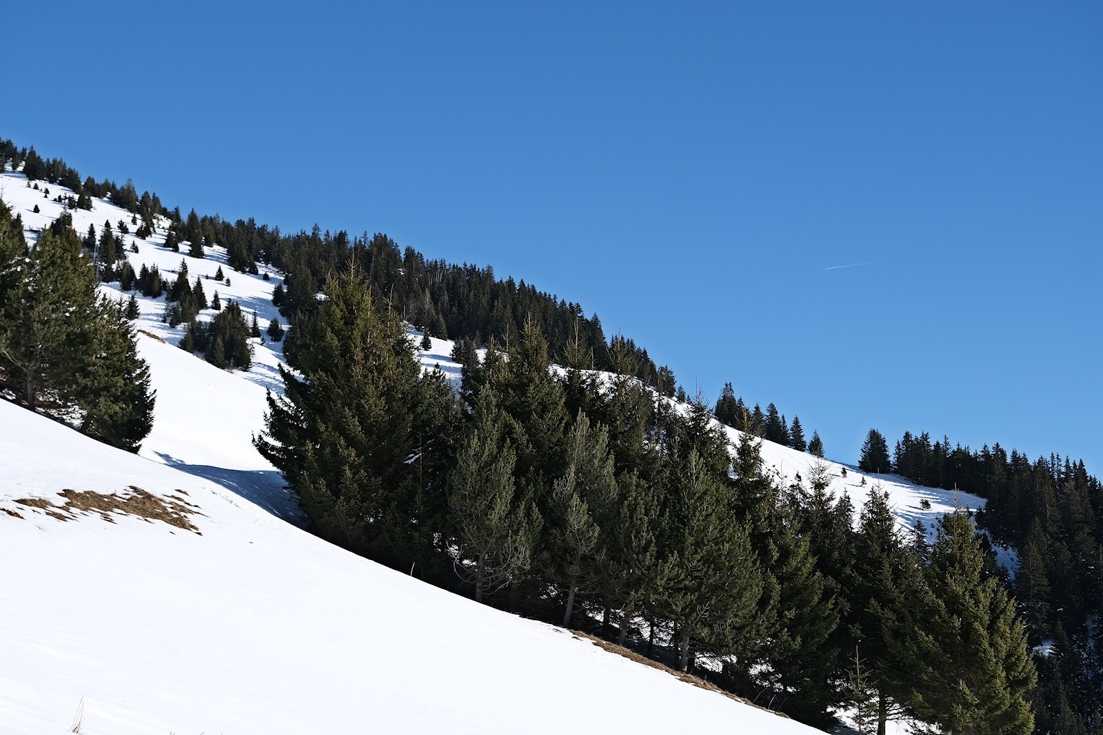 Les pentes sud-ouest sous Roche de Janatan. 