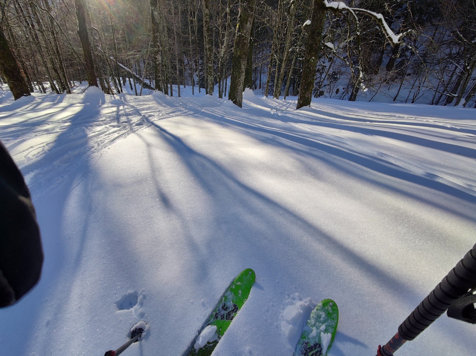 A la descente en forêt