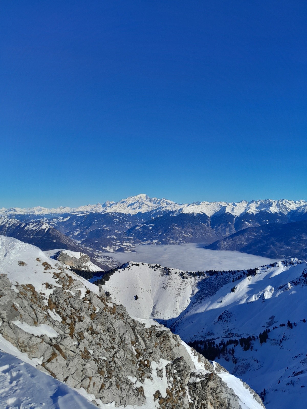 &nbsp;Gros Blanc en fond