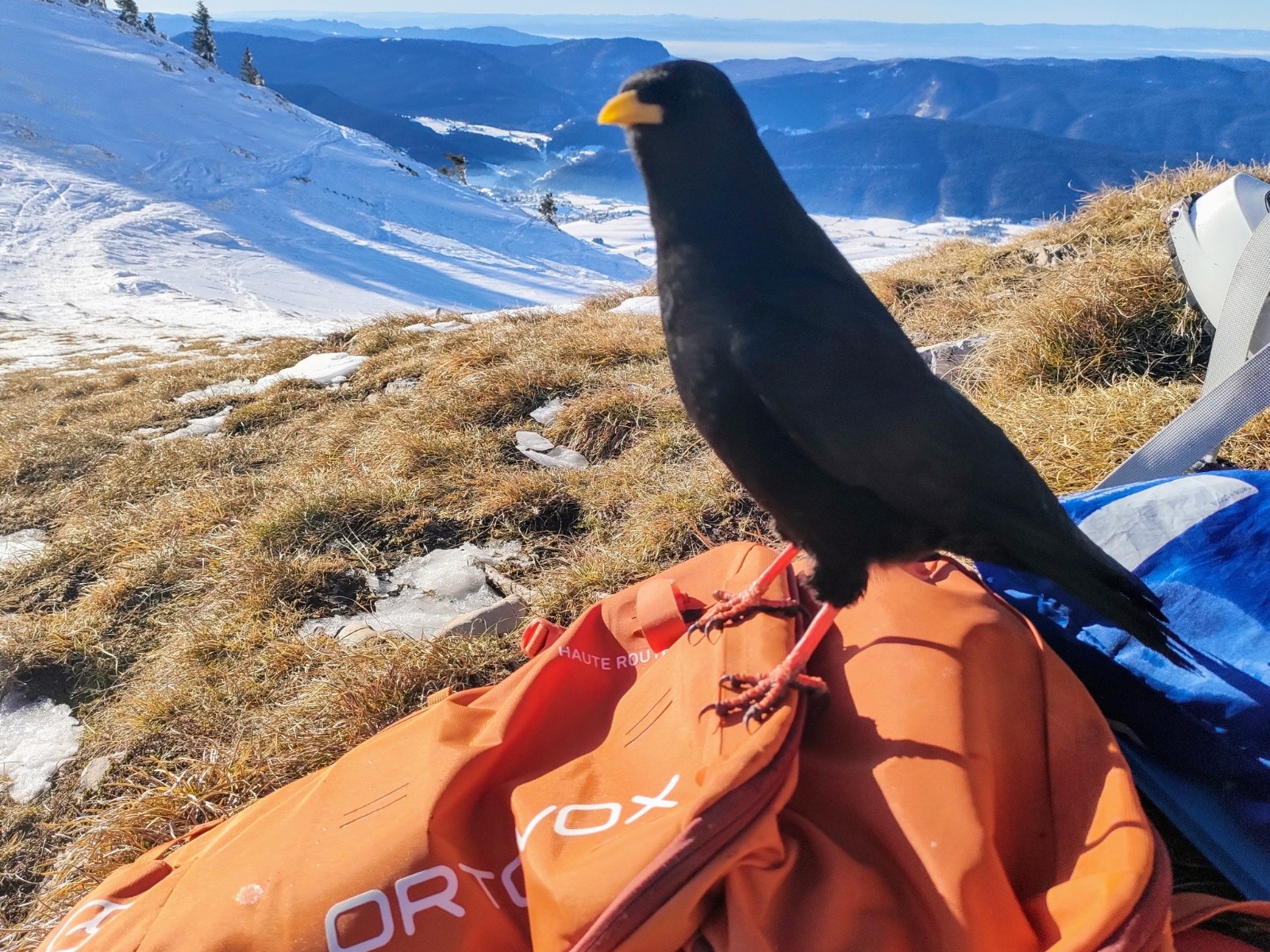 Manquerait plus qu'il me souille mon sac celui-là&nbsp;