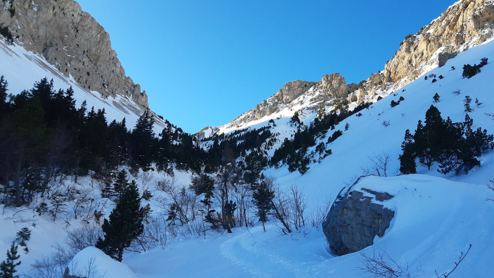 Dans Bachassons&nbsp;