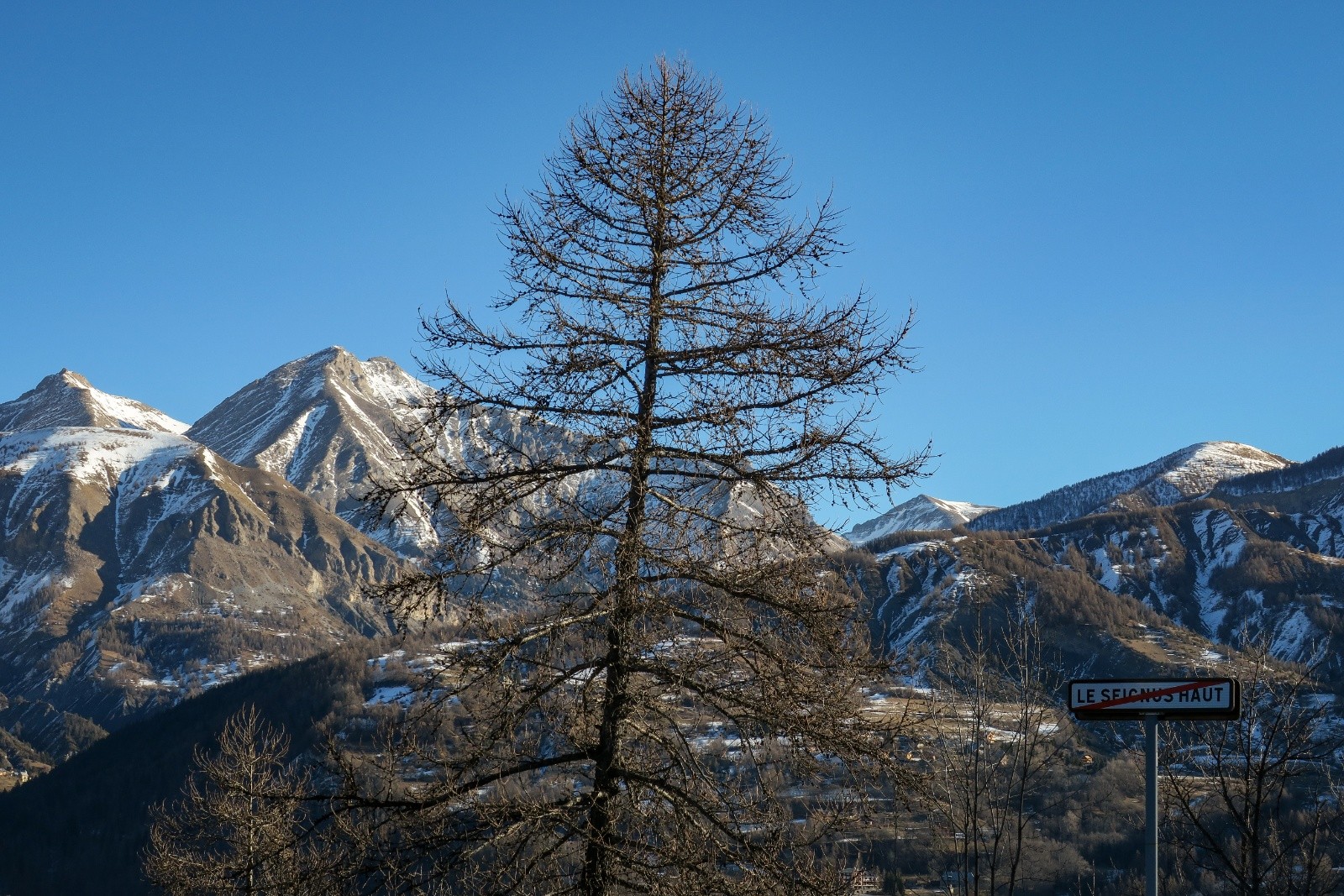 Retour au pays !&nbsp;