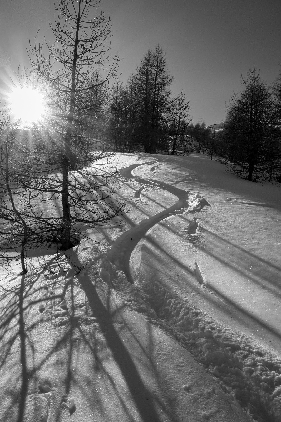 Pas pire par endroits !&nbsp;