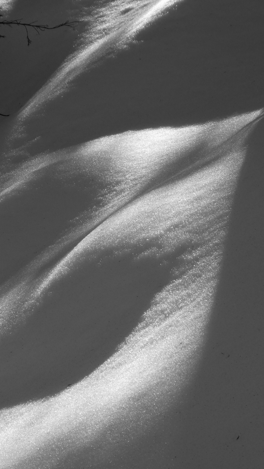 la neige comme on l'aime 