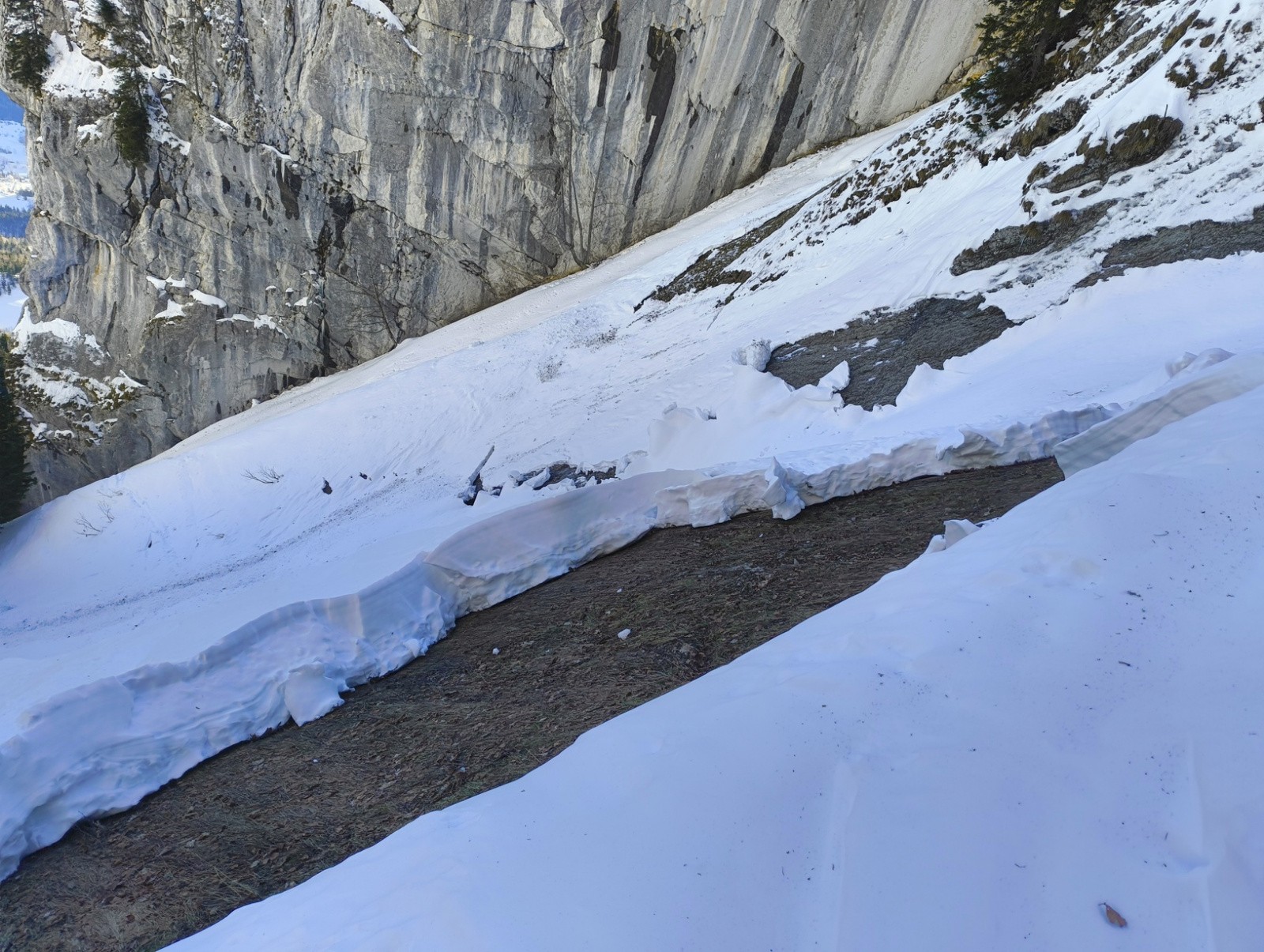 #4 jolie gueule de baleine jolie gueule de baleine