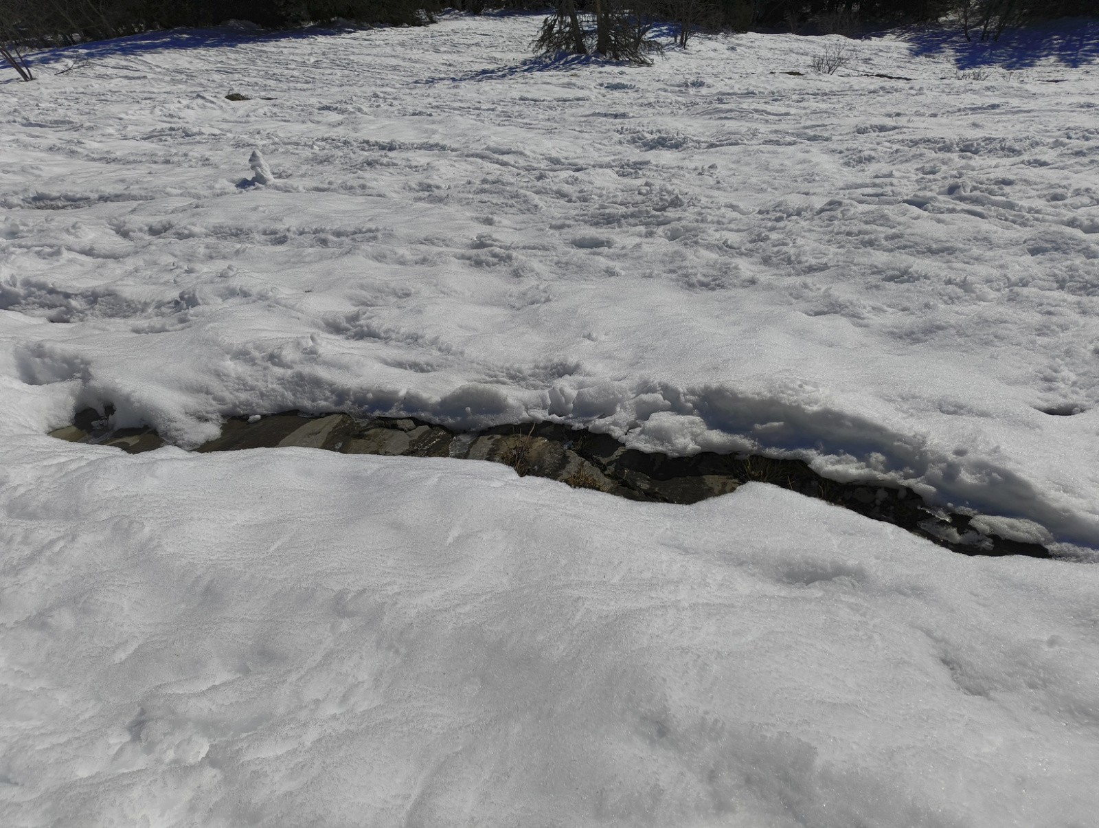 #2 Des trous comme ça, il y a en plein dans la clairière Des trous comme ça, il y a en plein dans la clairière