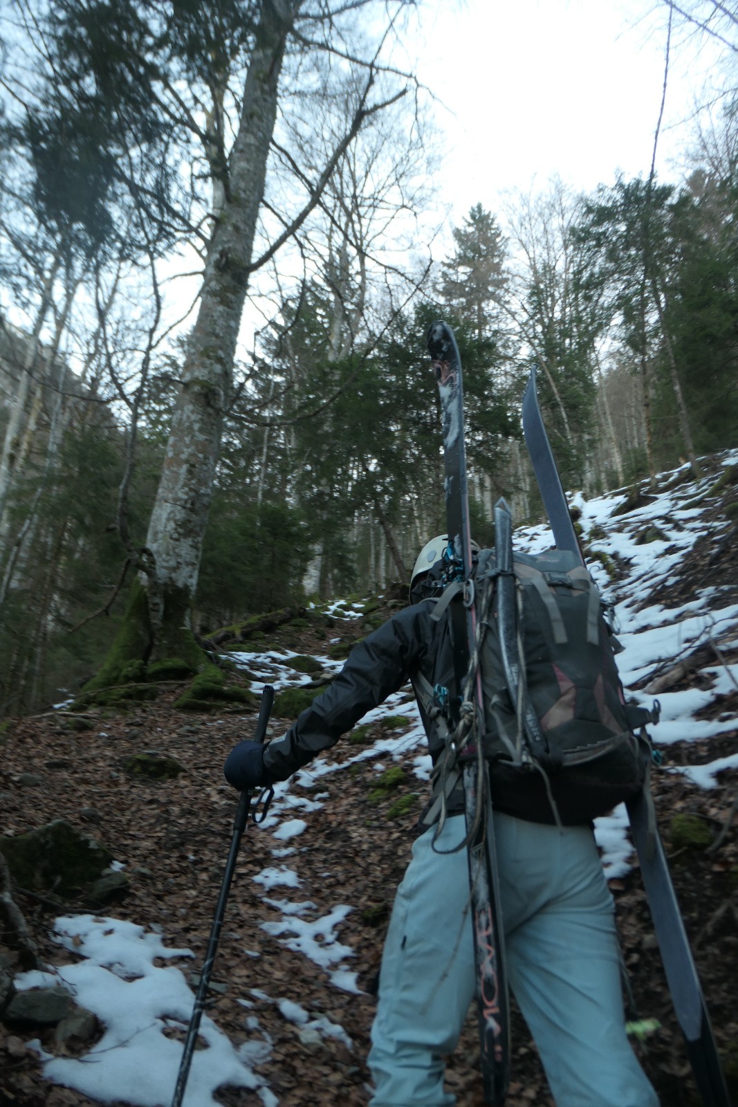 Nous serons piétons 