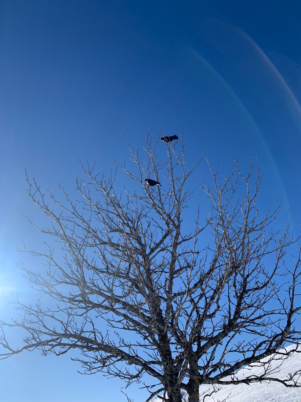 Un déjeuner scruté de près