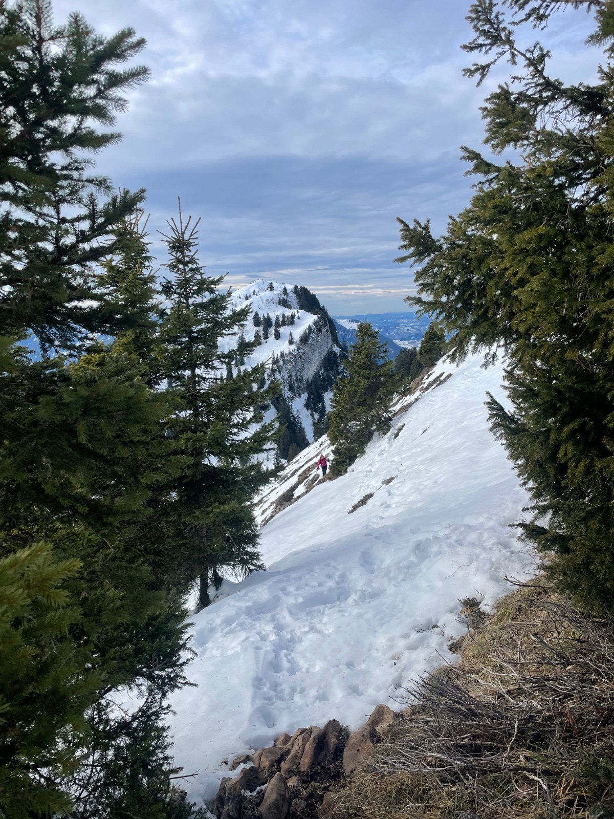 Léo dans la montée à Haute - Pointe  