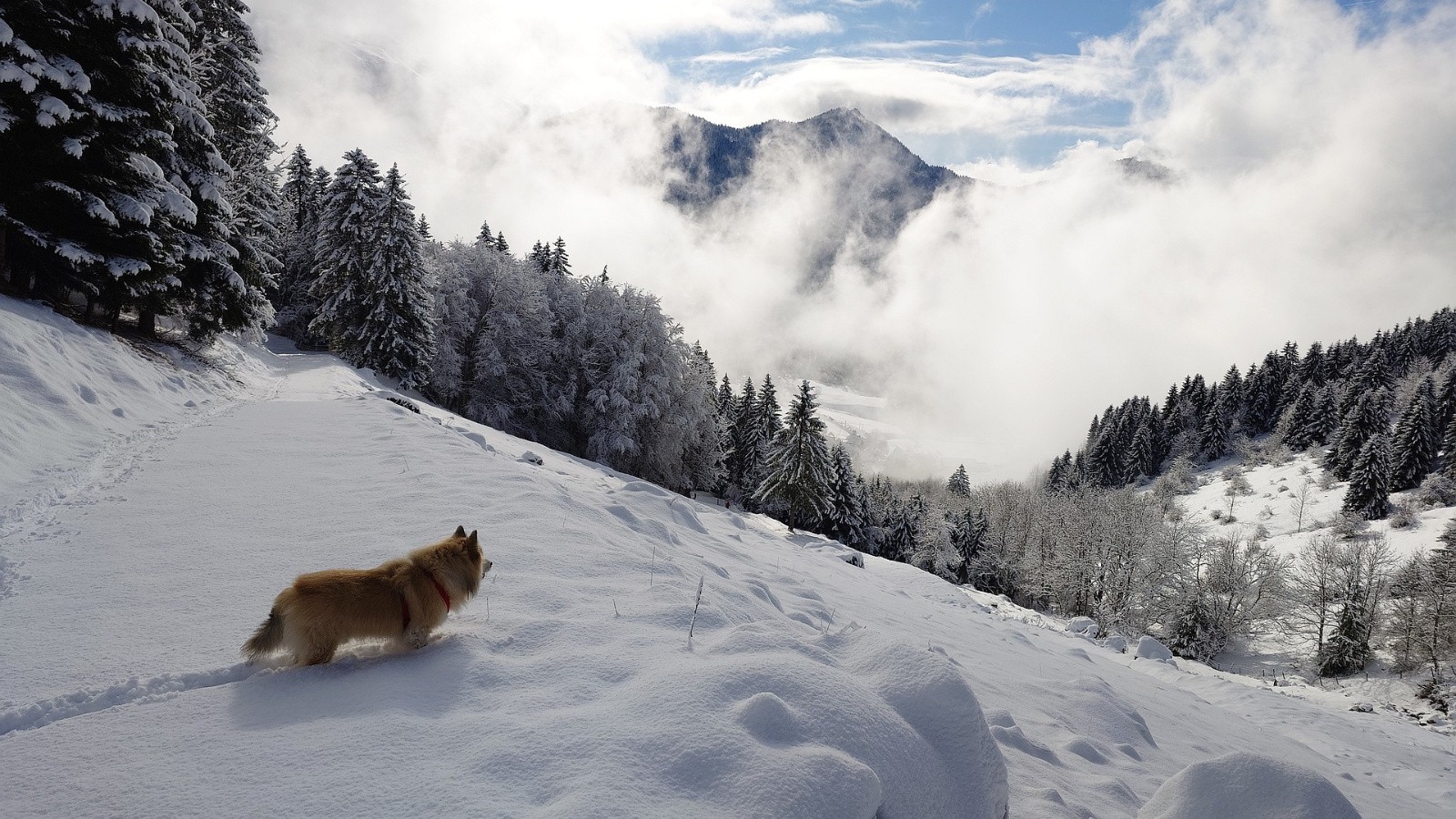 descente sagement par le chemin 
