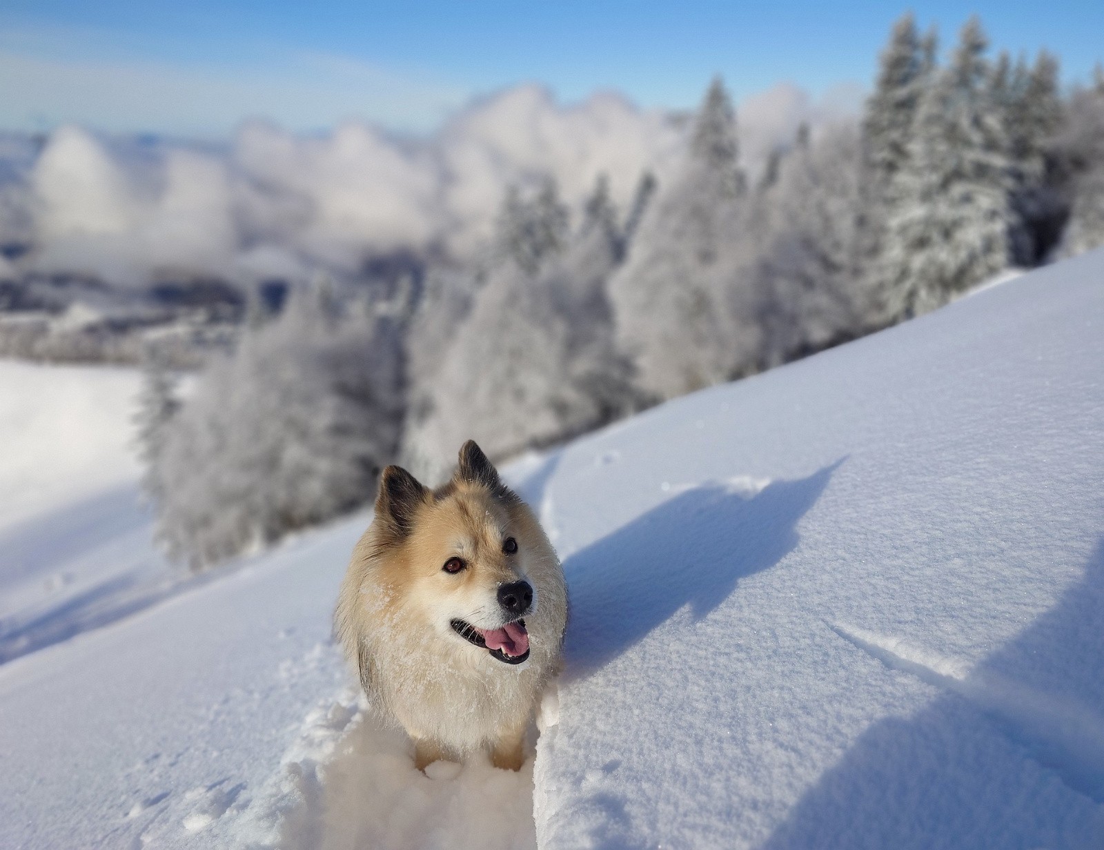 oui, il y a de quoi avoir le sourire ! 