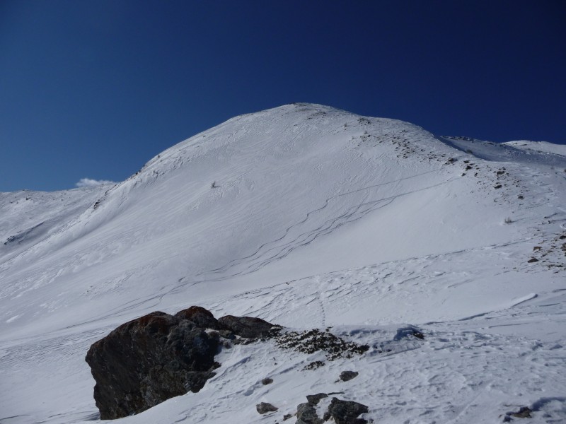 Mont Orel : Trace de descente de 5 skieurs et un chien... sous le sommet du mont orel vers le vallon de pra mouton avec une trés bonne neige.