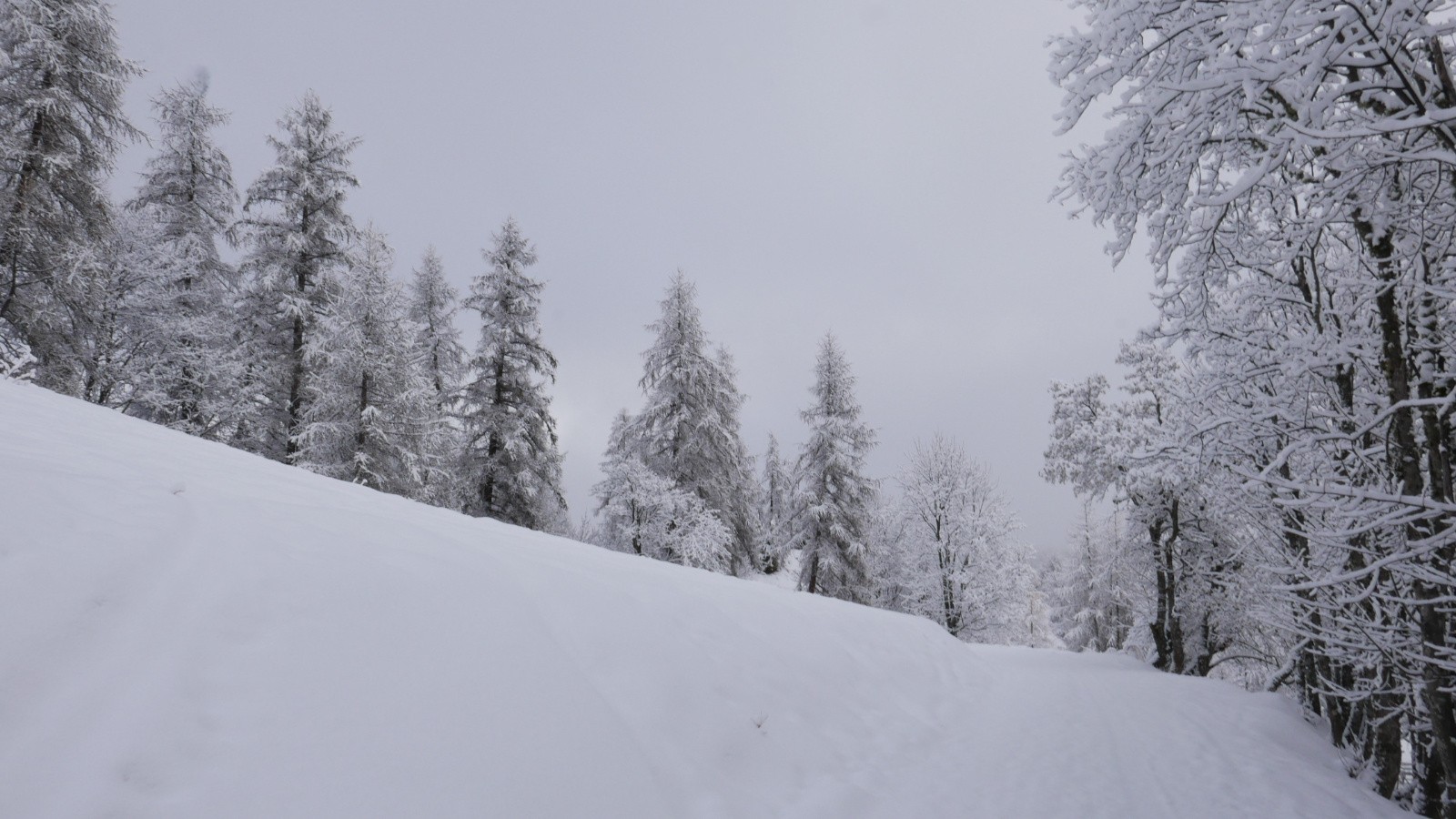 Un petit air d'hiver.