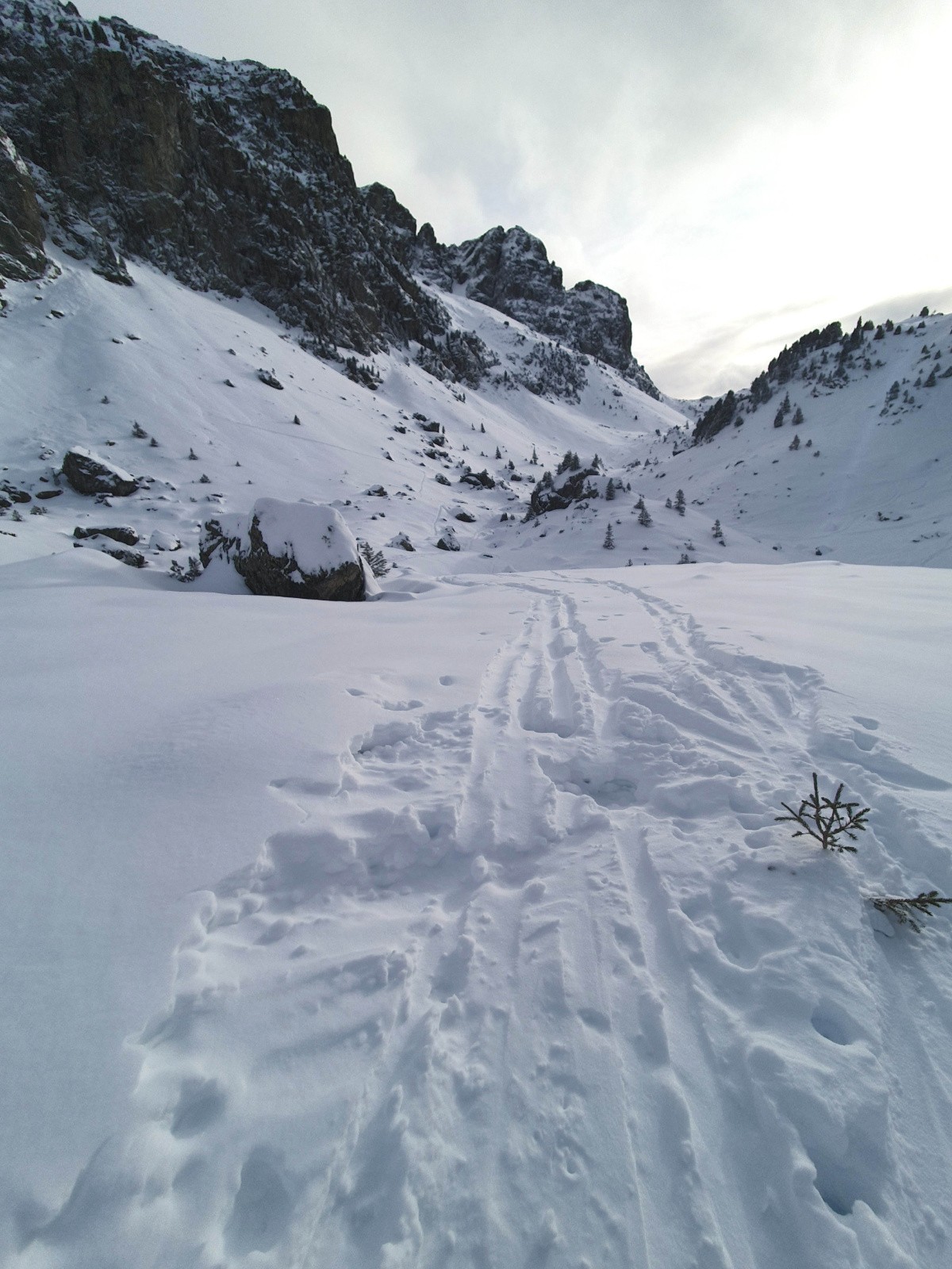 Entre Sorbier et Eulier