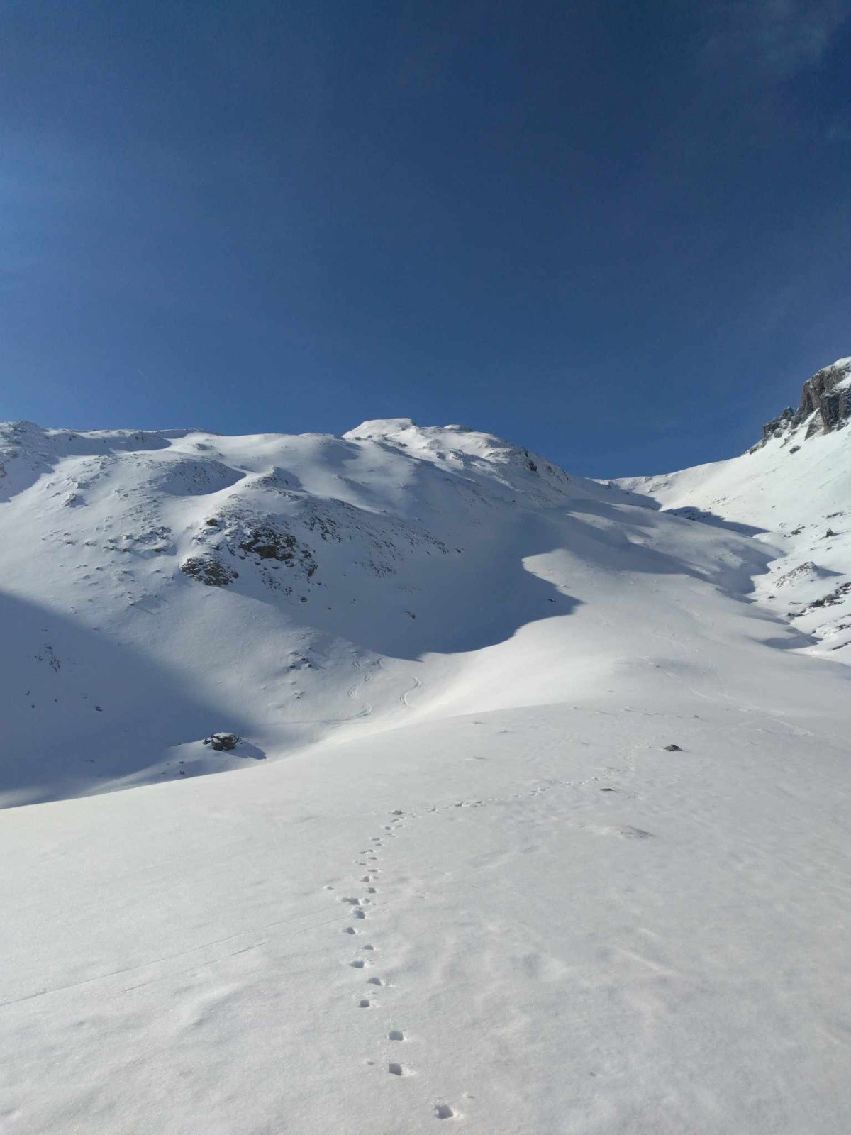 En repartant vers le Cuyalaret, précédé d'un isard, depuis le point 1981