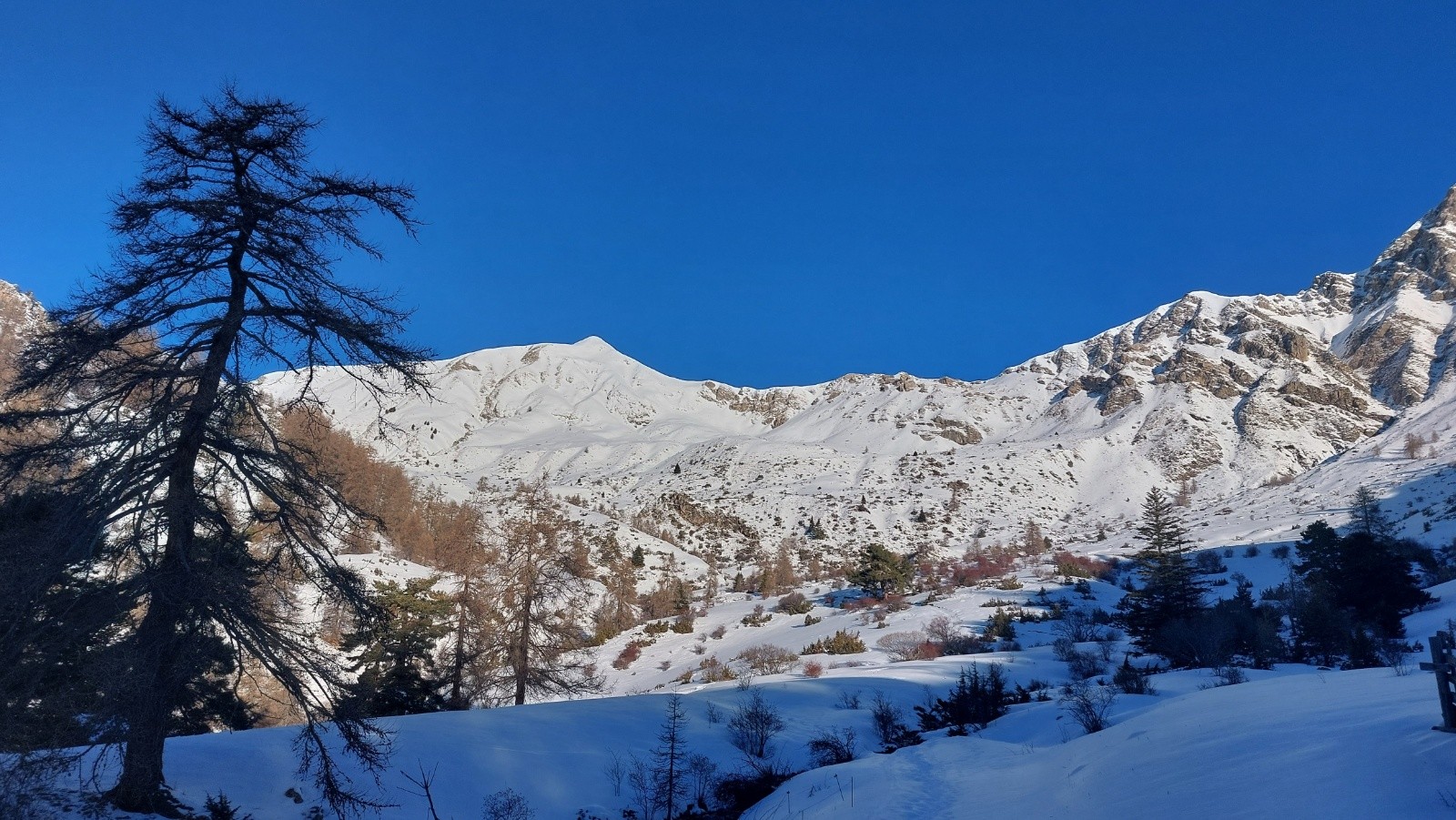 &nbsp;Ça s'annonce bien