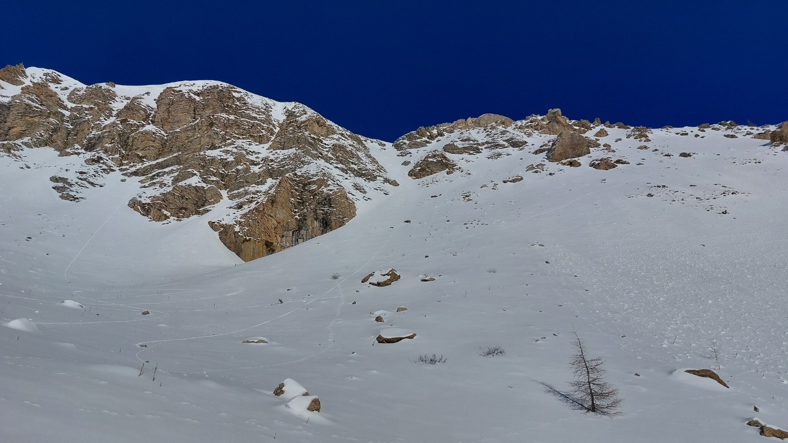 &nbsp;Aperçu de la cerise du jour