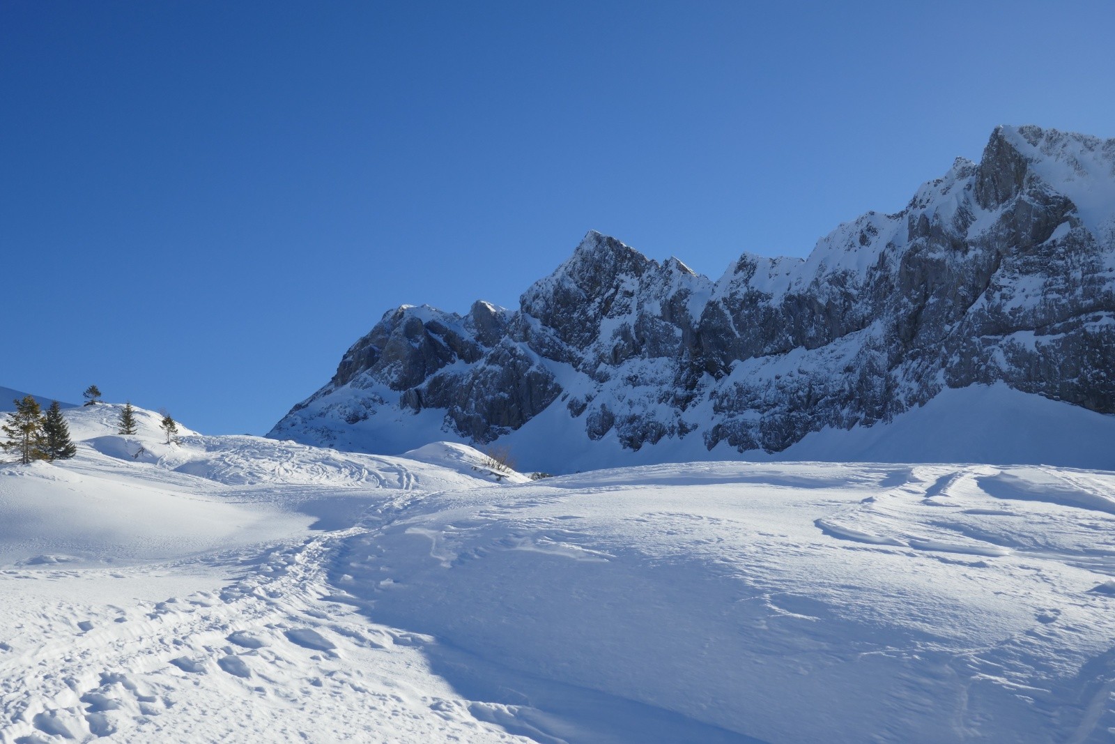 Corne au Taureau