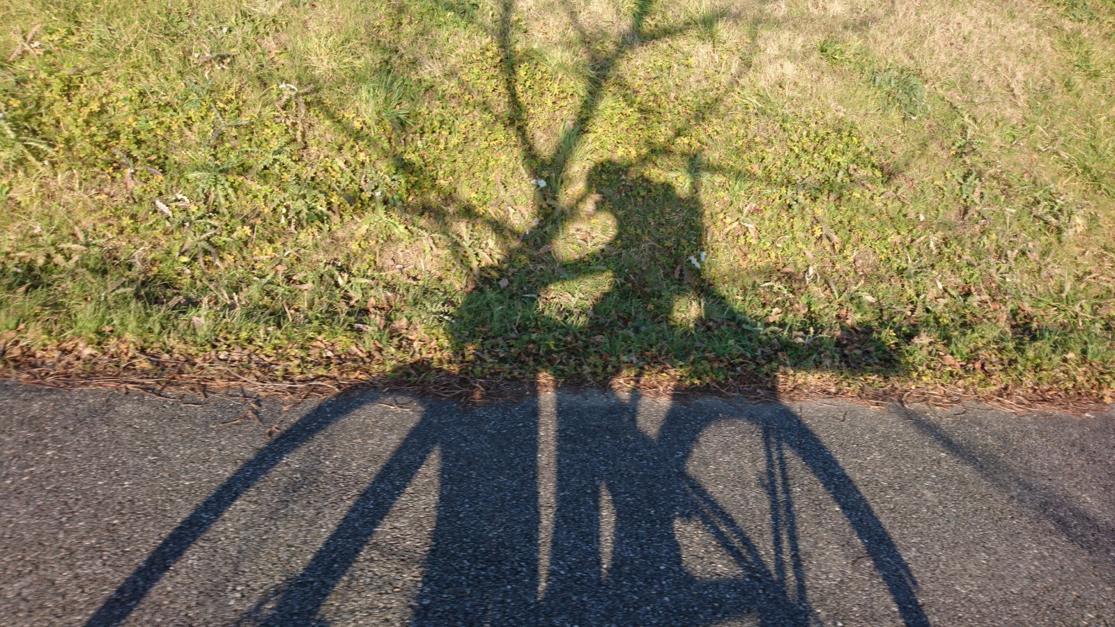 Retour au vert et au froid... 