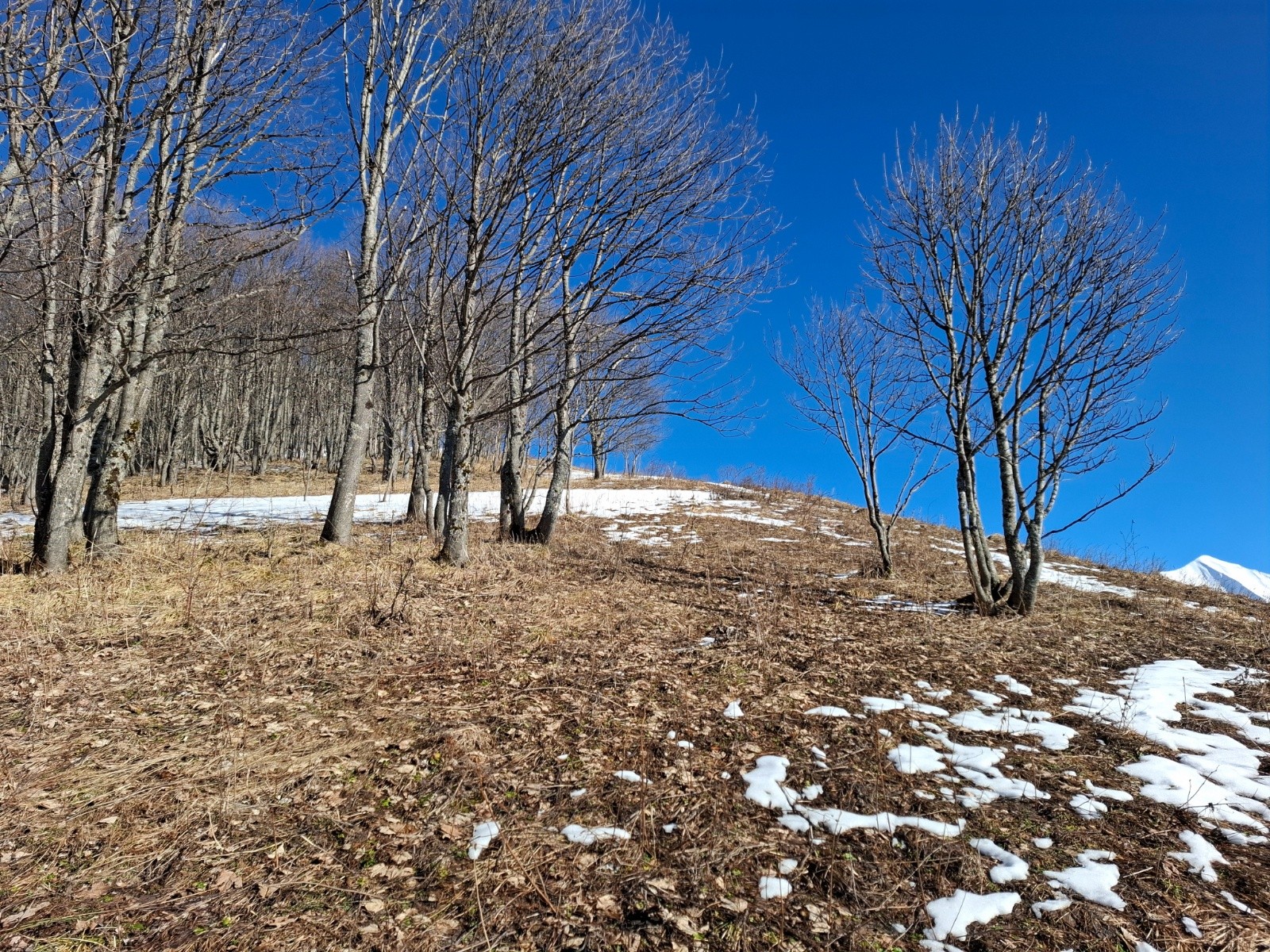  l'épaule vers 1650m