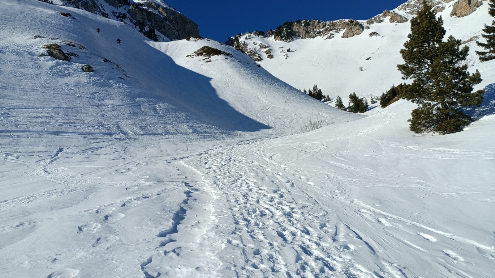 dans la montée un peu avec le croisement du sentier du périmètre