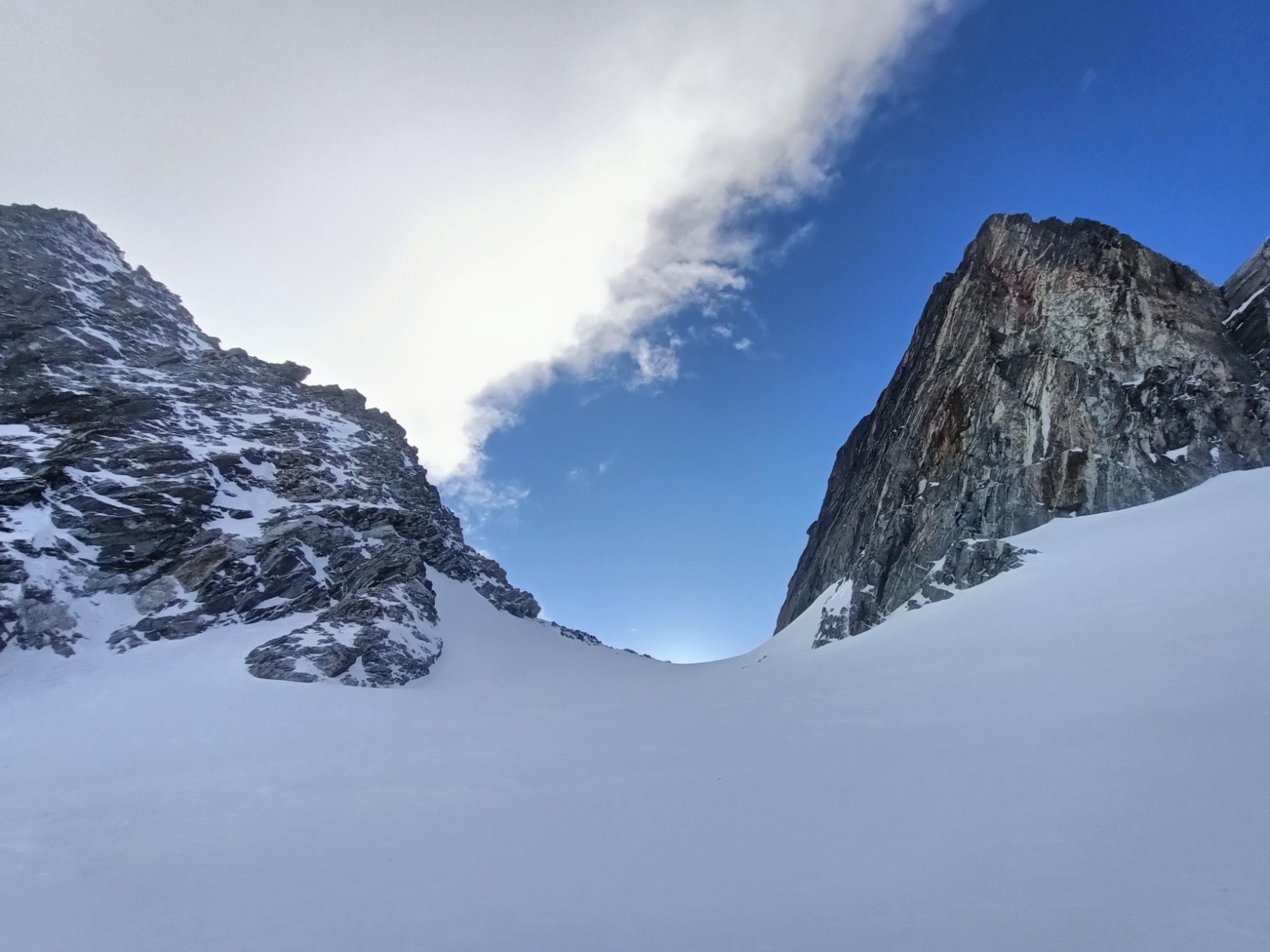  Selle Puy Gris 