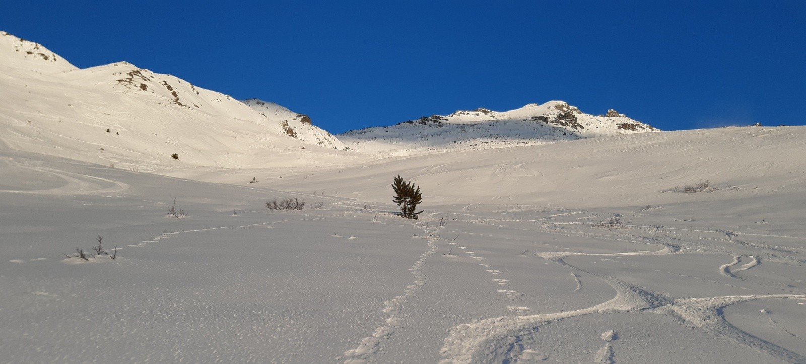 LA portion de bonne neige au dessus des chalets.&nbsp;