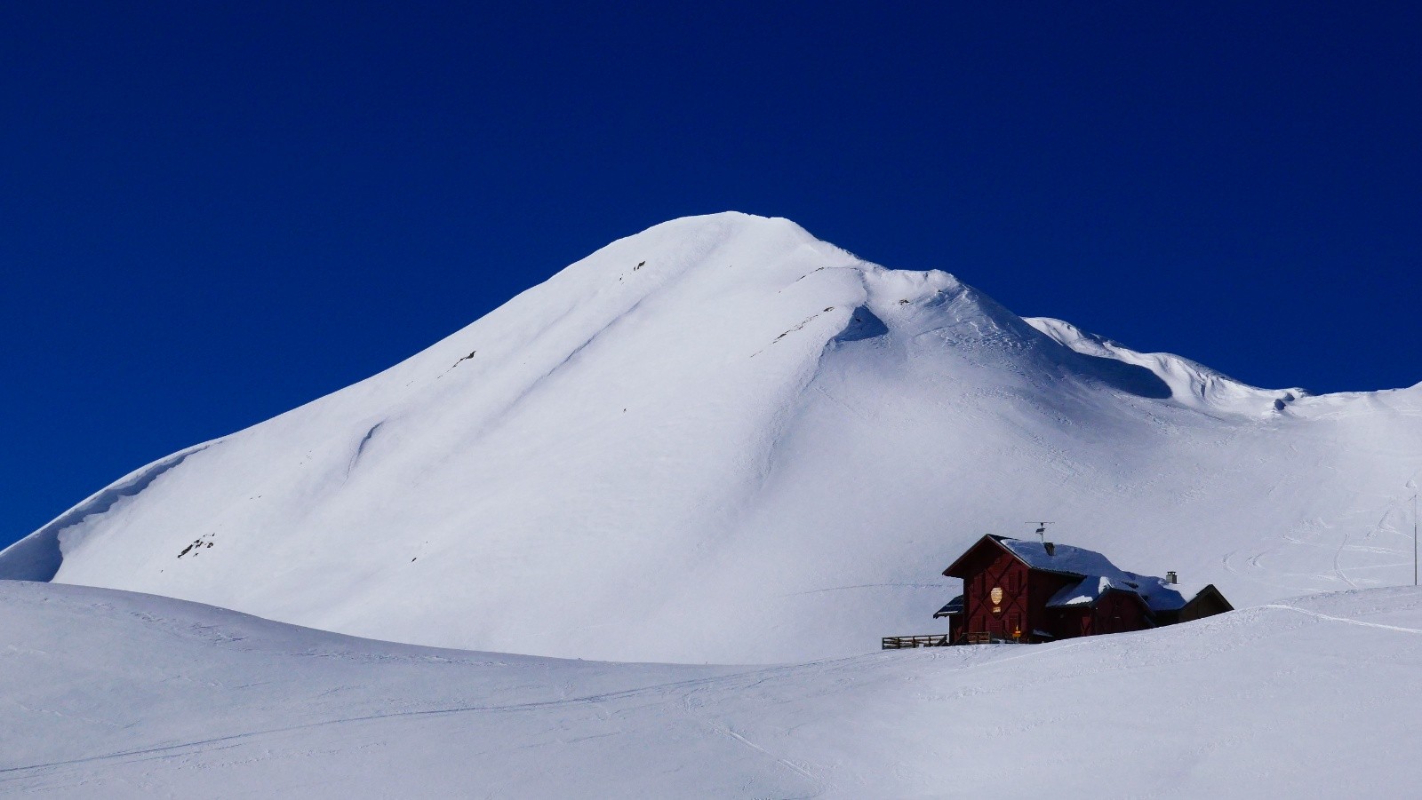 Le but de la visite...