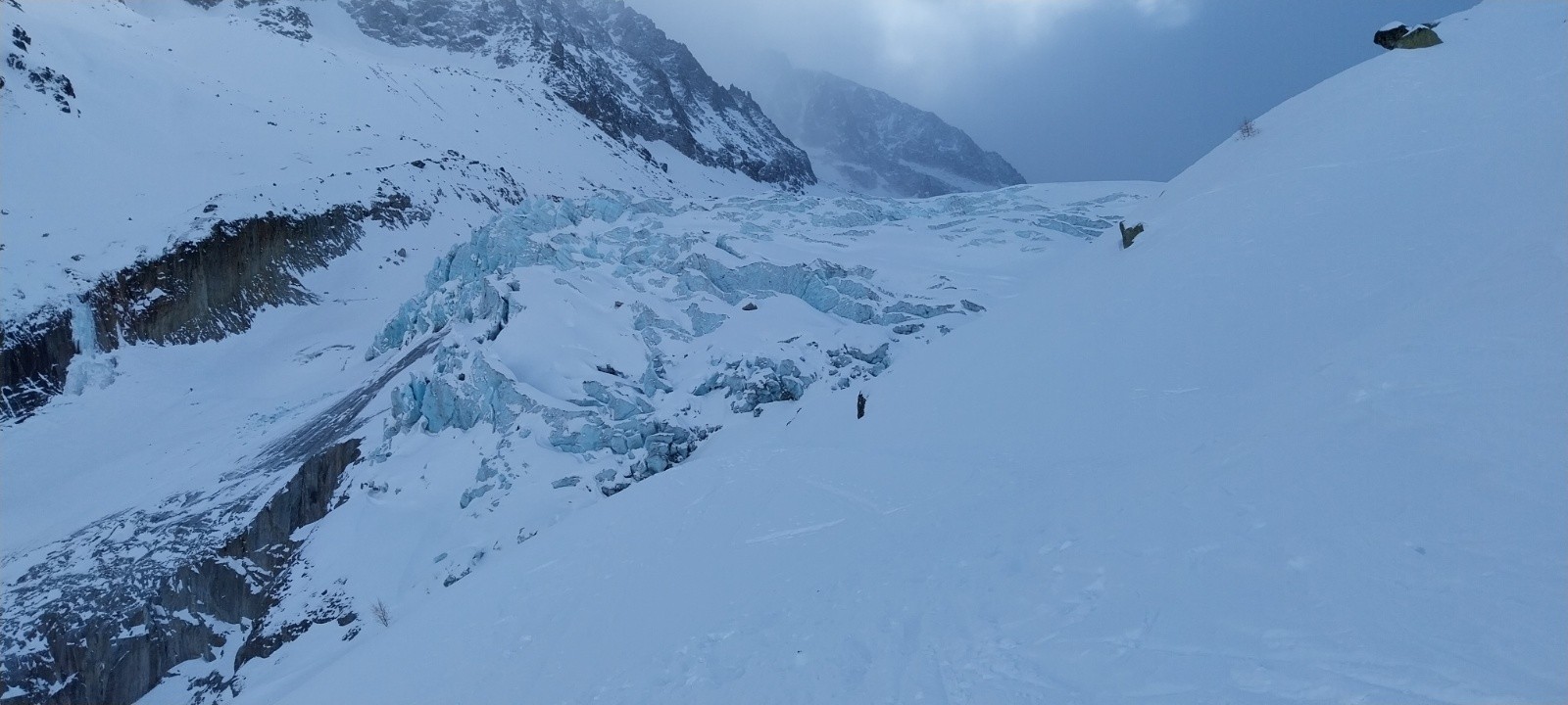 le glacier d'Argentière 