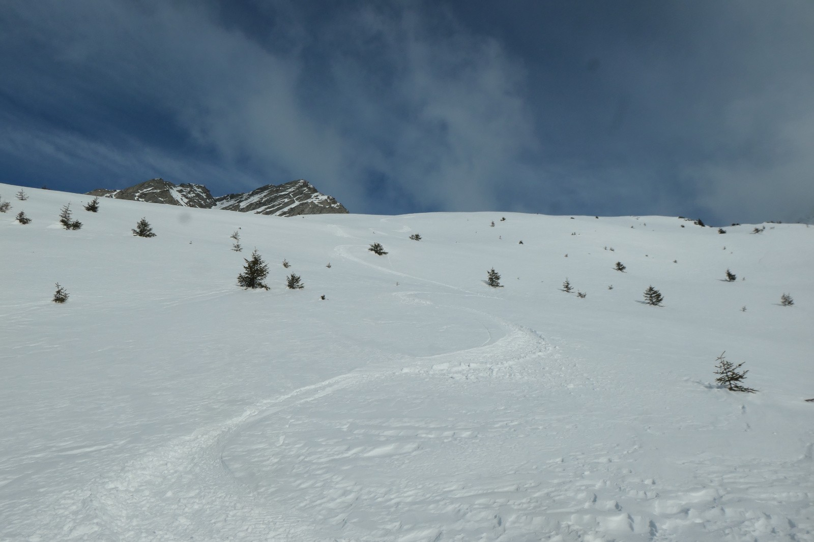 Entre poudre et moquette 