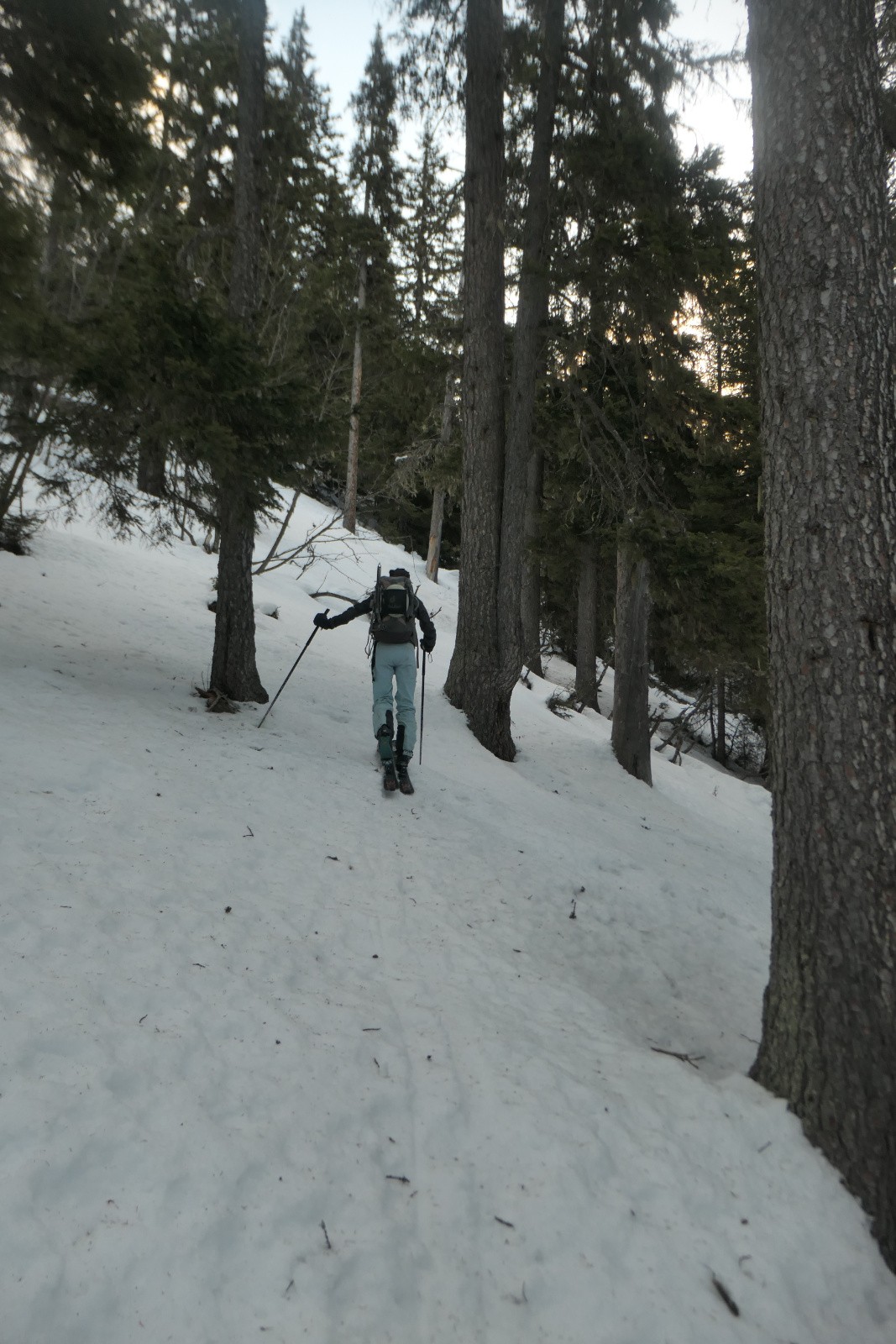 En forêt 