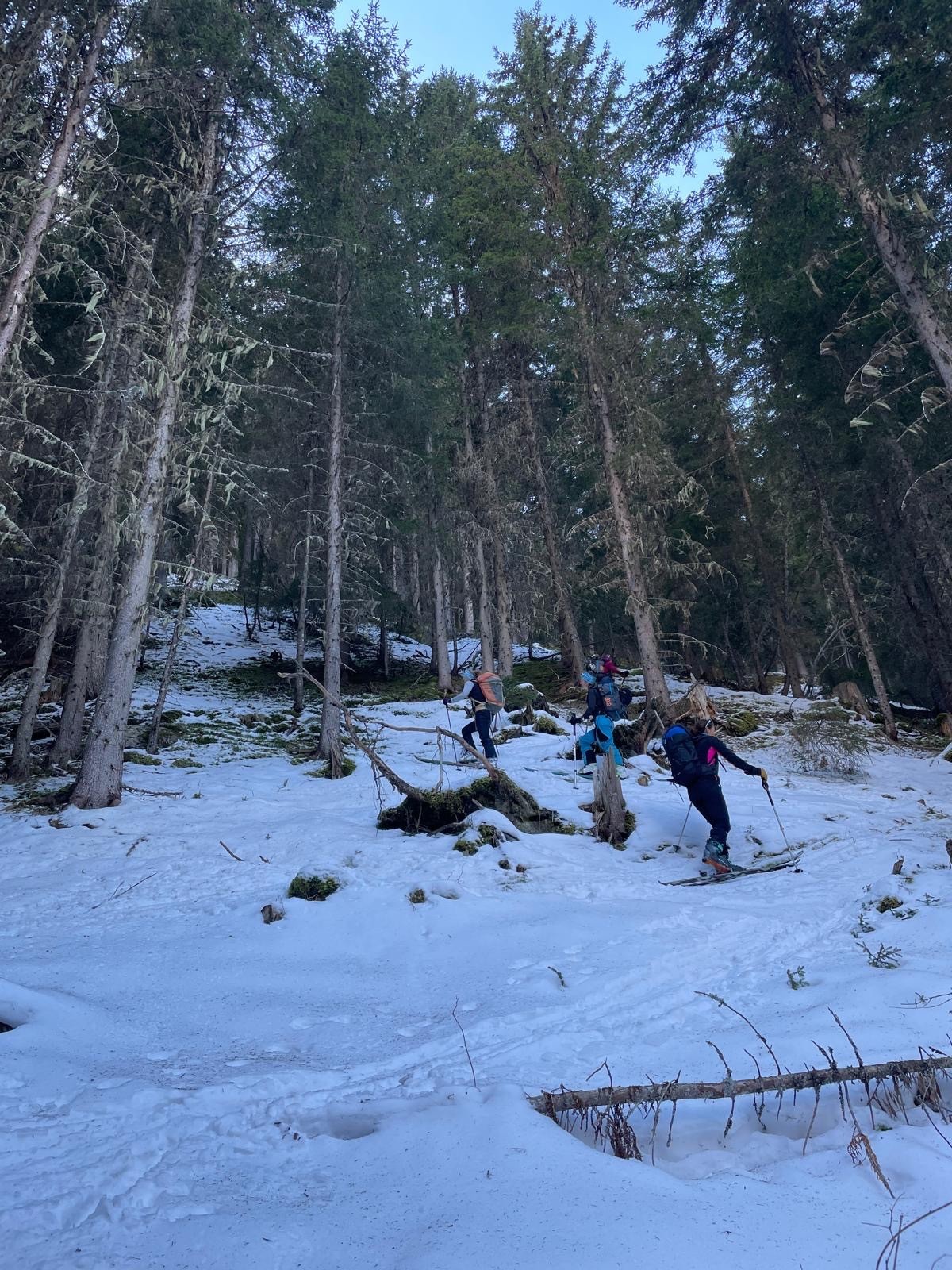 La forêt qui fait rêver 😱😱