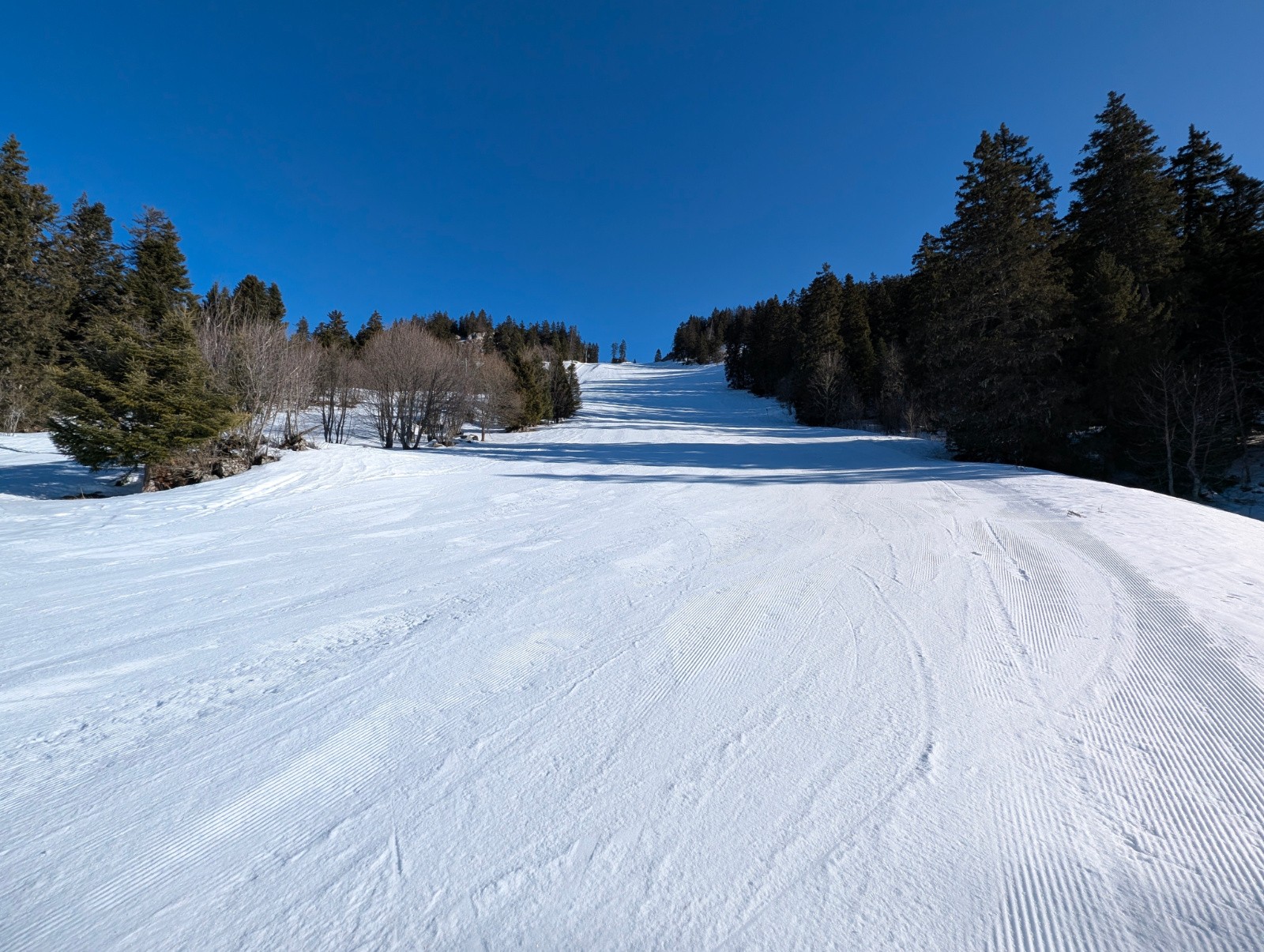 Creux de la neige damée 