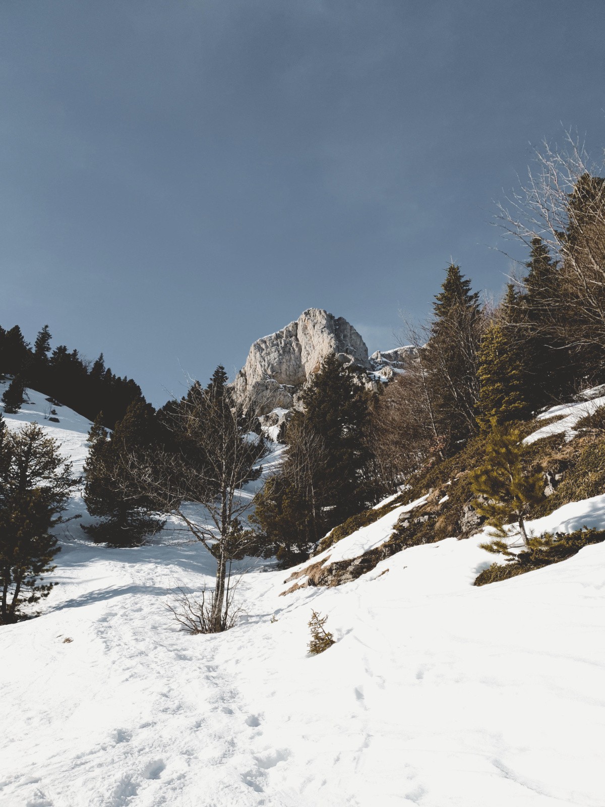 #1 Ce jour sera marqué d Ce jour sera marqué d'une Pierre Blanche
