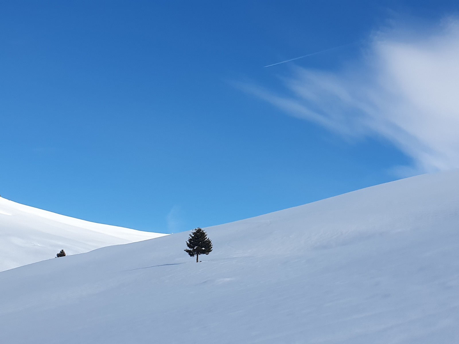 Un autre solitaire sous le col de la Bâthie