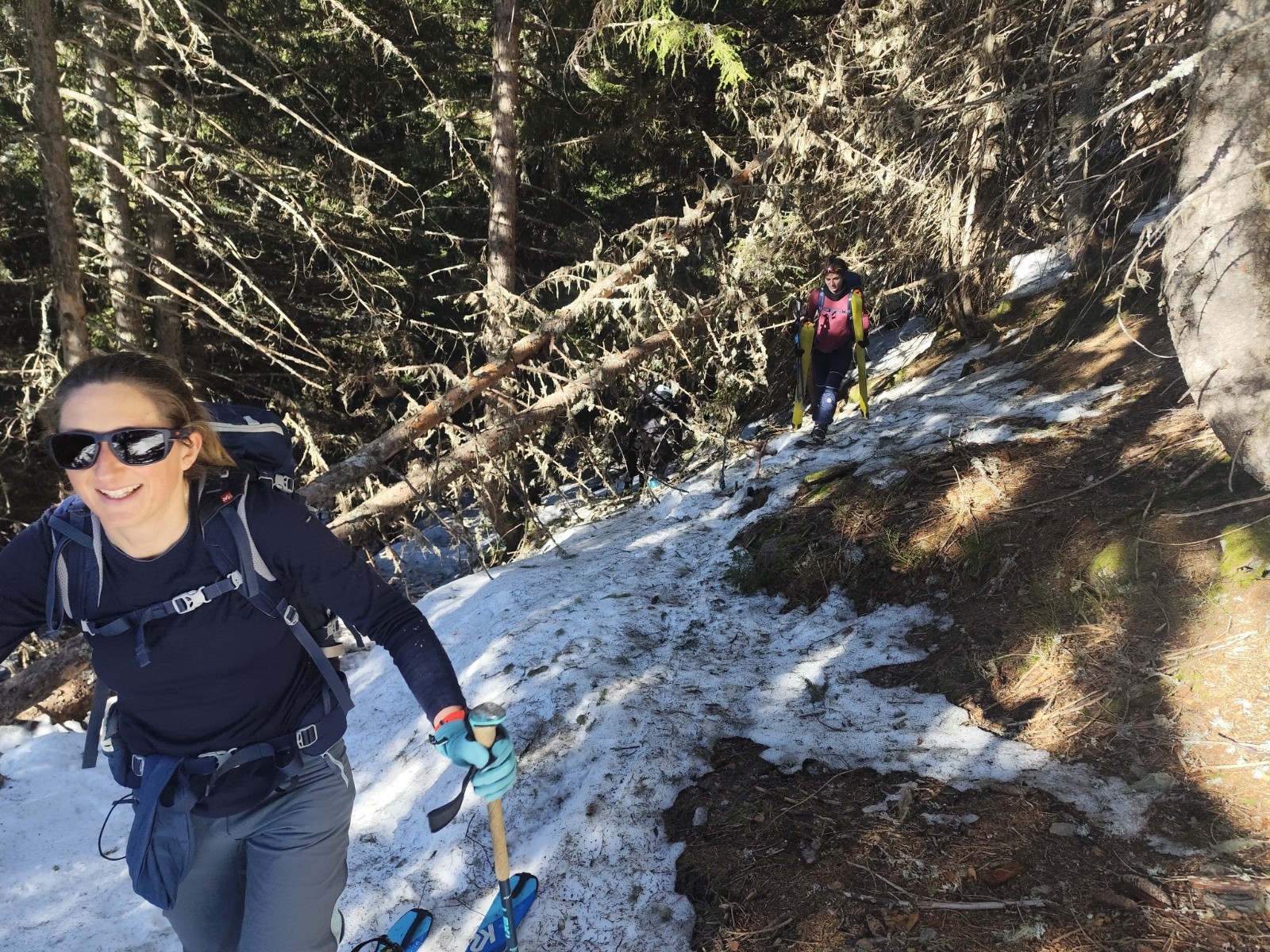  Quelques obstacles en forêt 