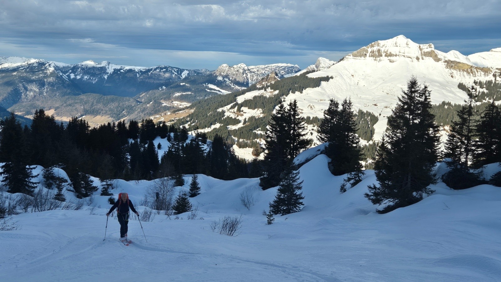 Début de la remontée ds les arbres vers l éntree de la combe de la gde Forclaz