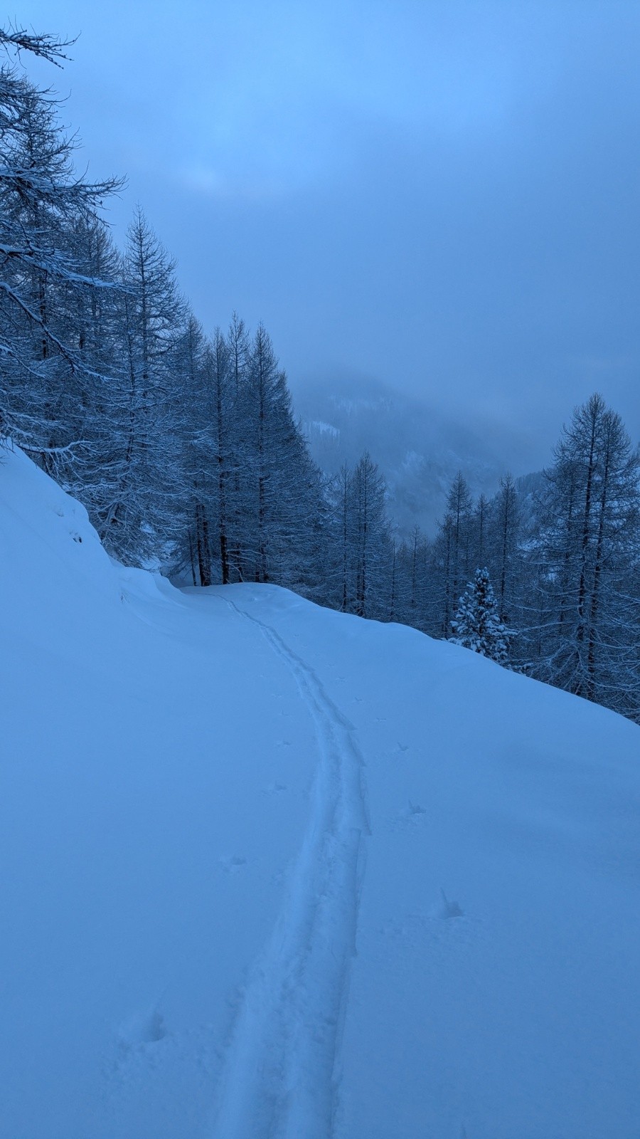  Ambiance neigeuse au petit matin.