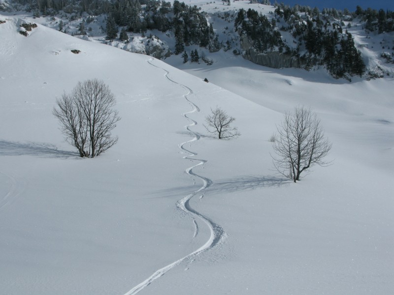 Seul : La vierge pour moi