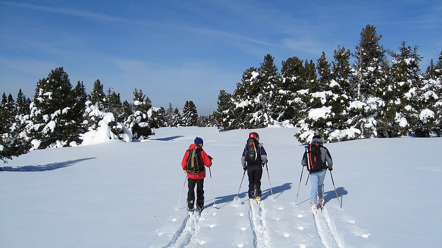 Départ du parcour ski de fond : Bast, Anne-Cé et Tchouf au portillon